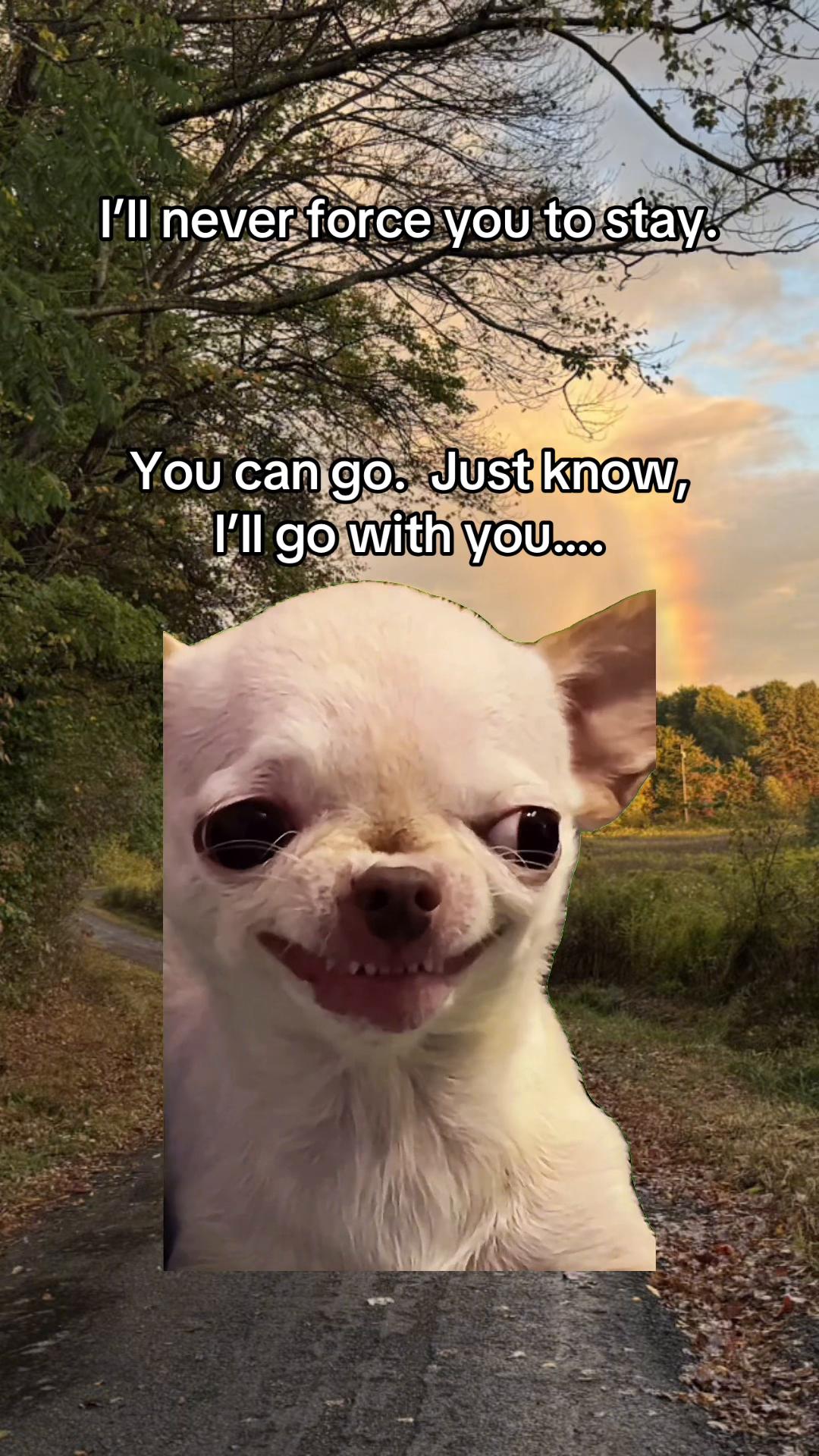 @Mandy