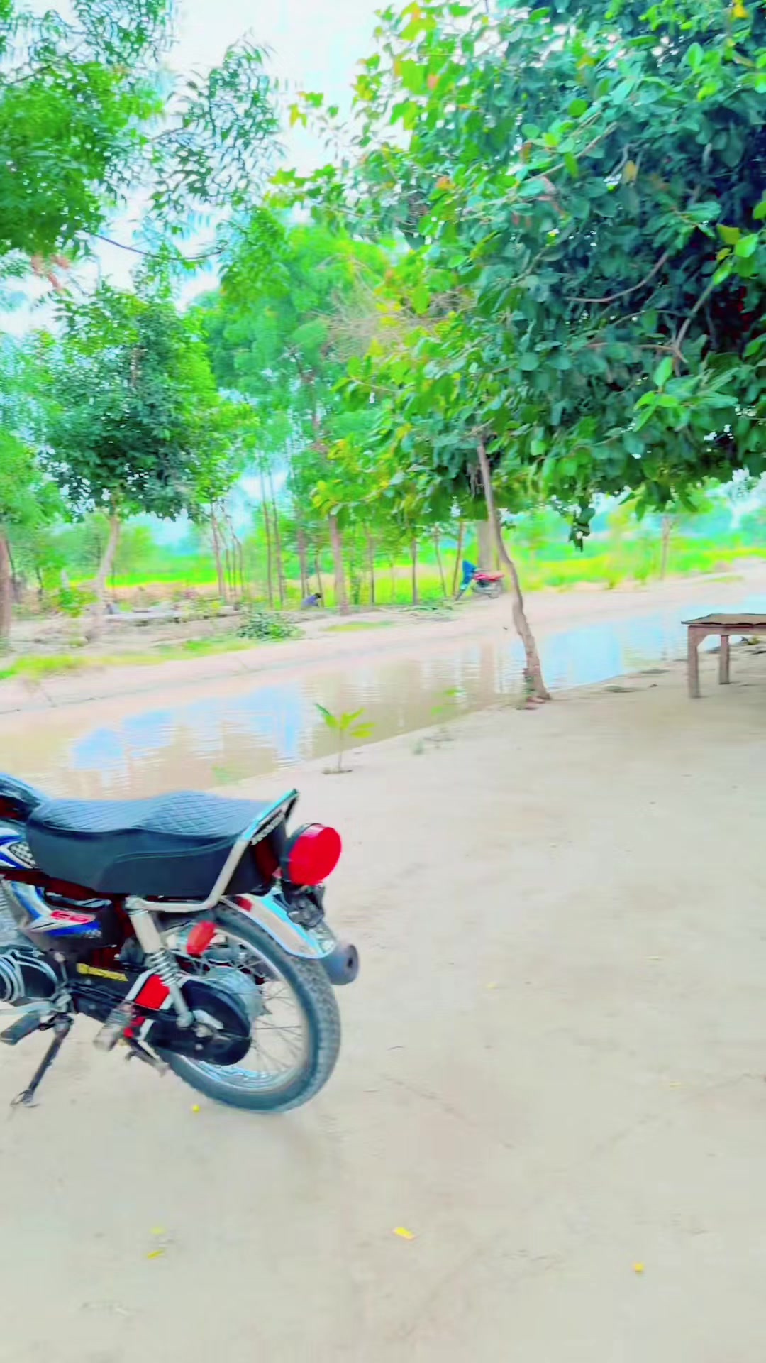 @Meer Zahid Lehri786