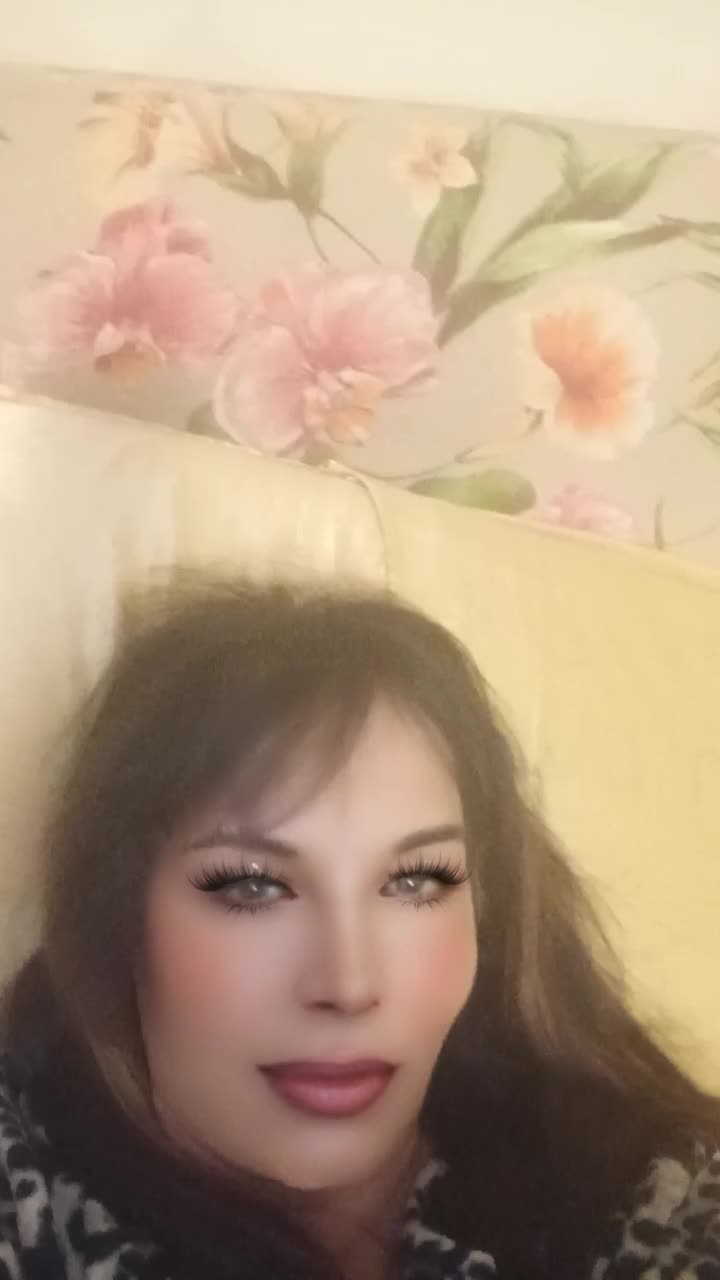 @laisa