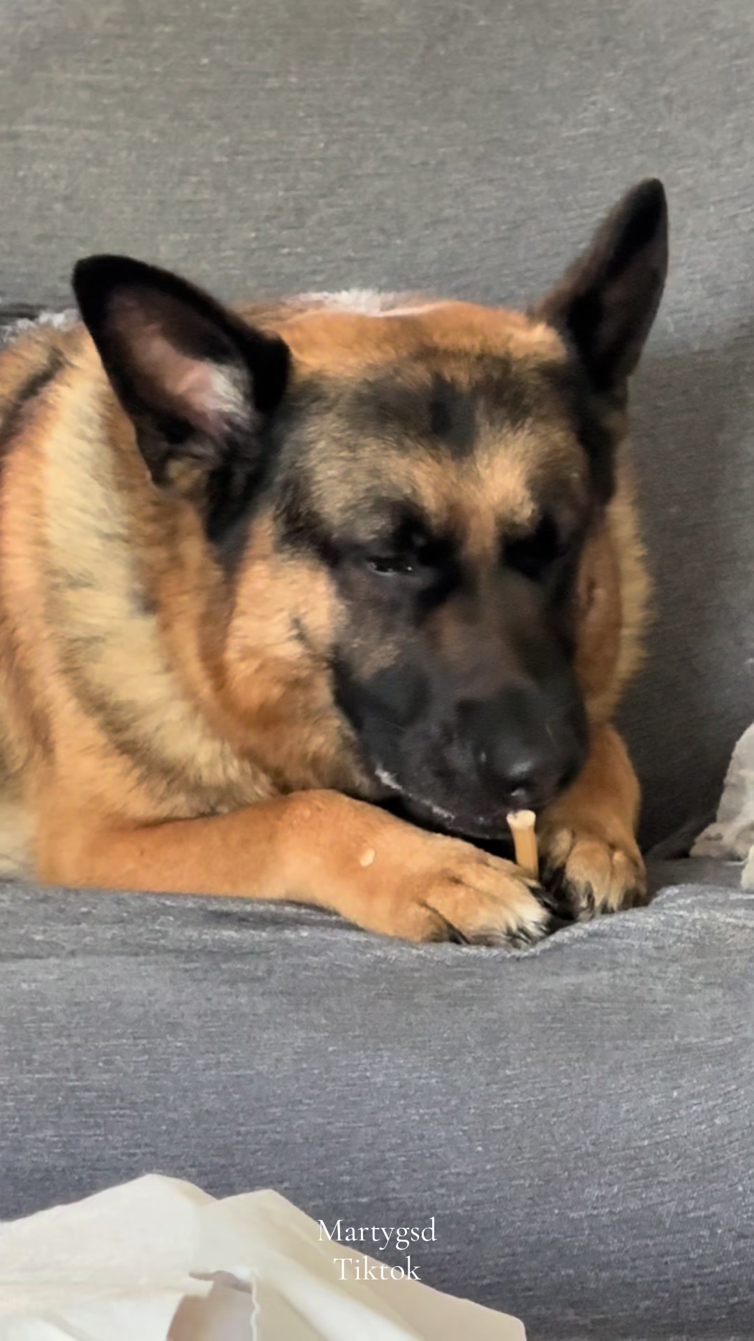 @Martygsd