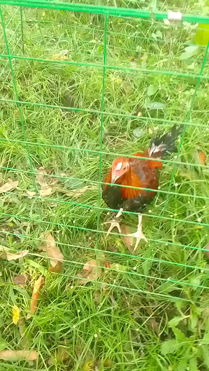 @🔐💘🔐