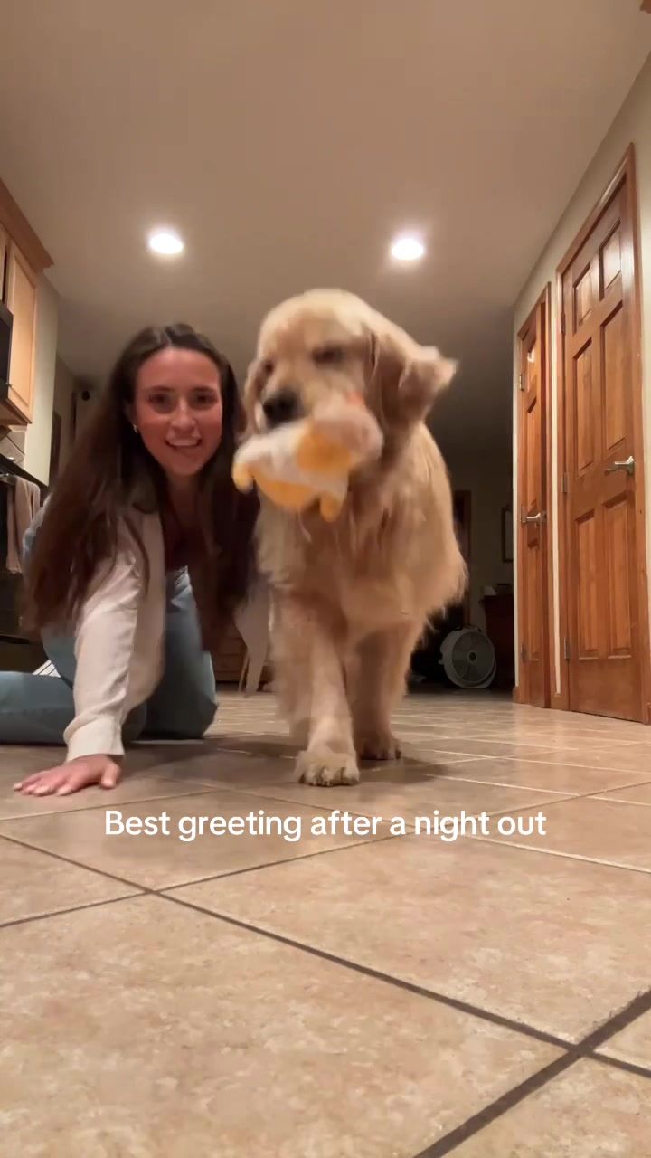 @Kody the Golden