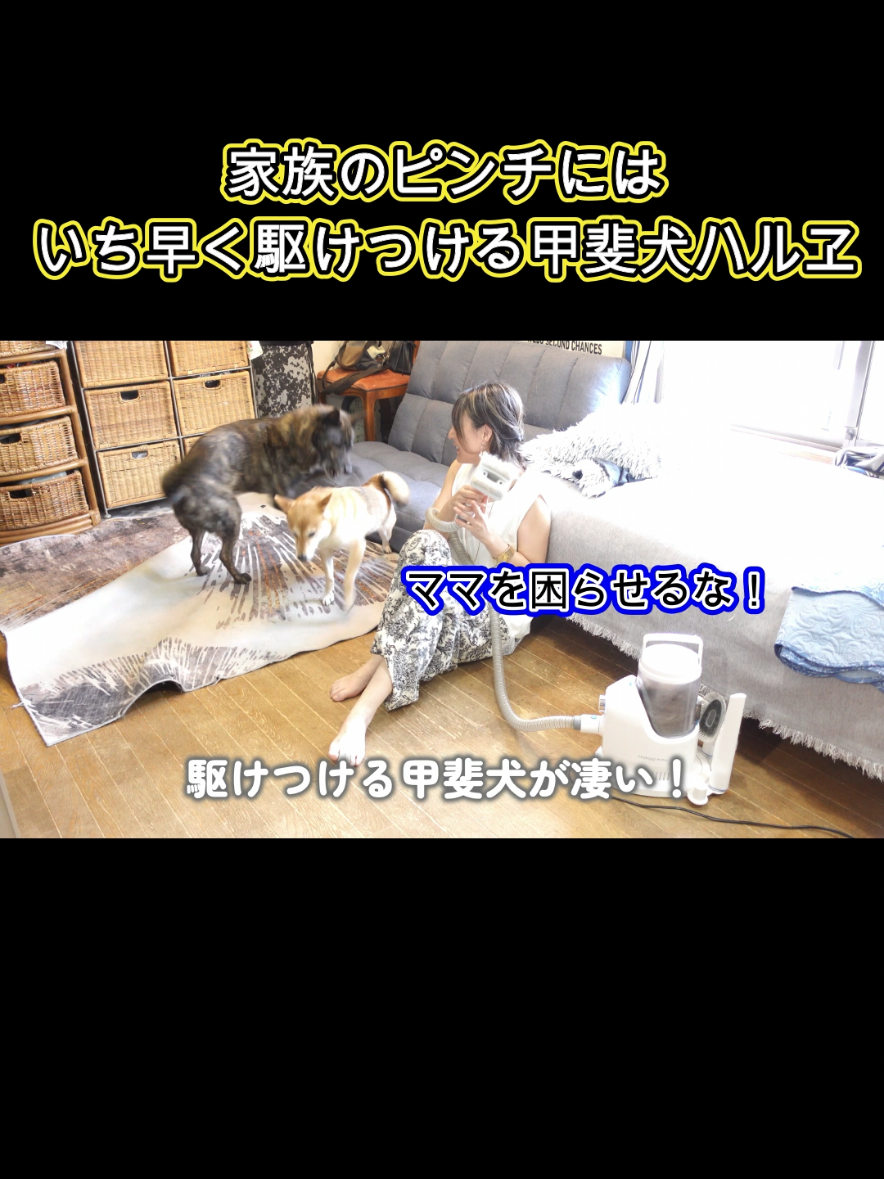 @川沿いに歩く妻サヲル