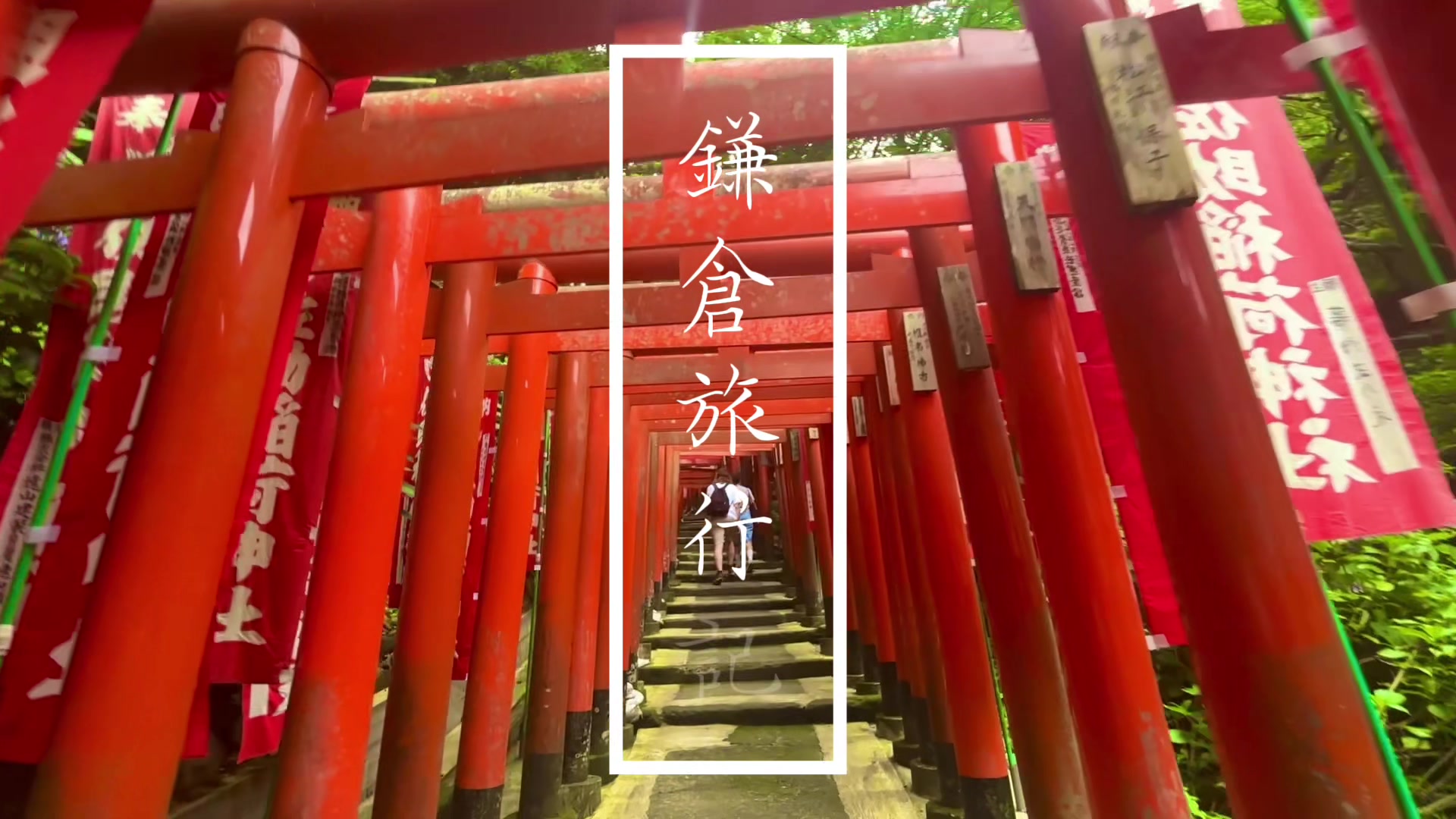 @きゅい❤︎cui 【YouTube】