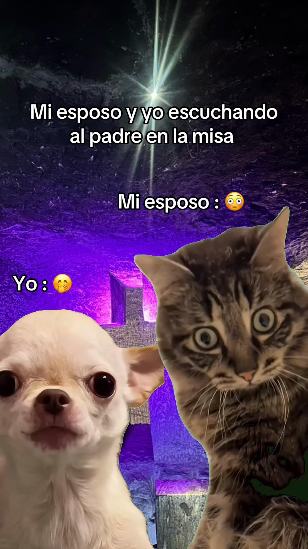 @LUZ RUEDA