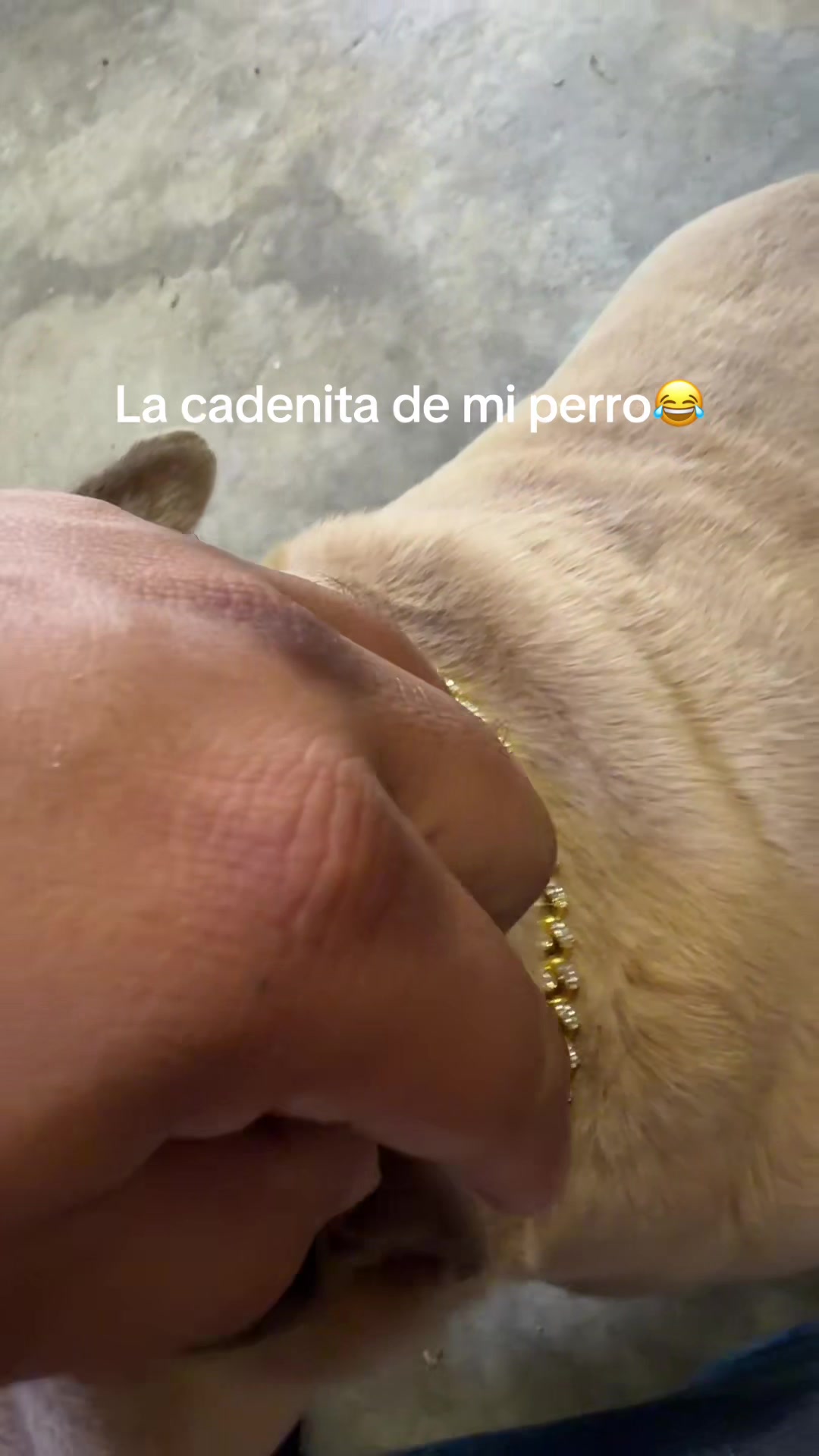 @Erick Rodriguez