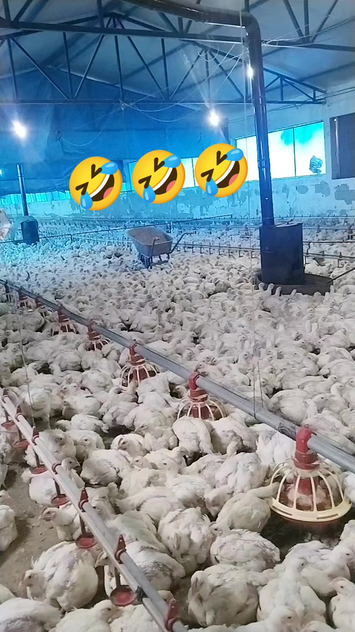 @01.. Adanalı 🥰