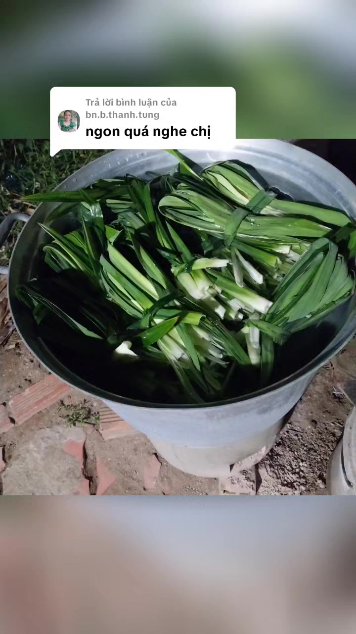 @Ngọc Bích