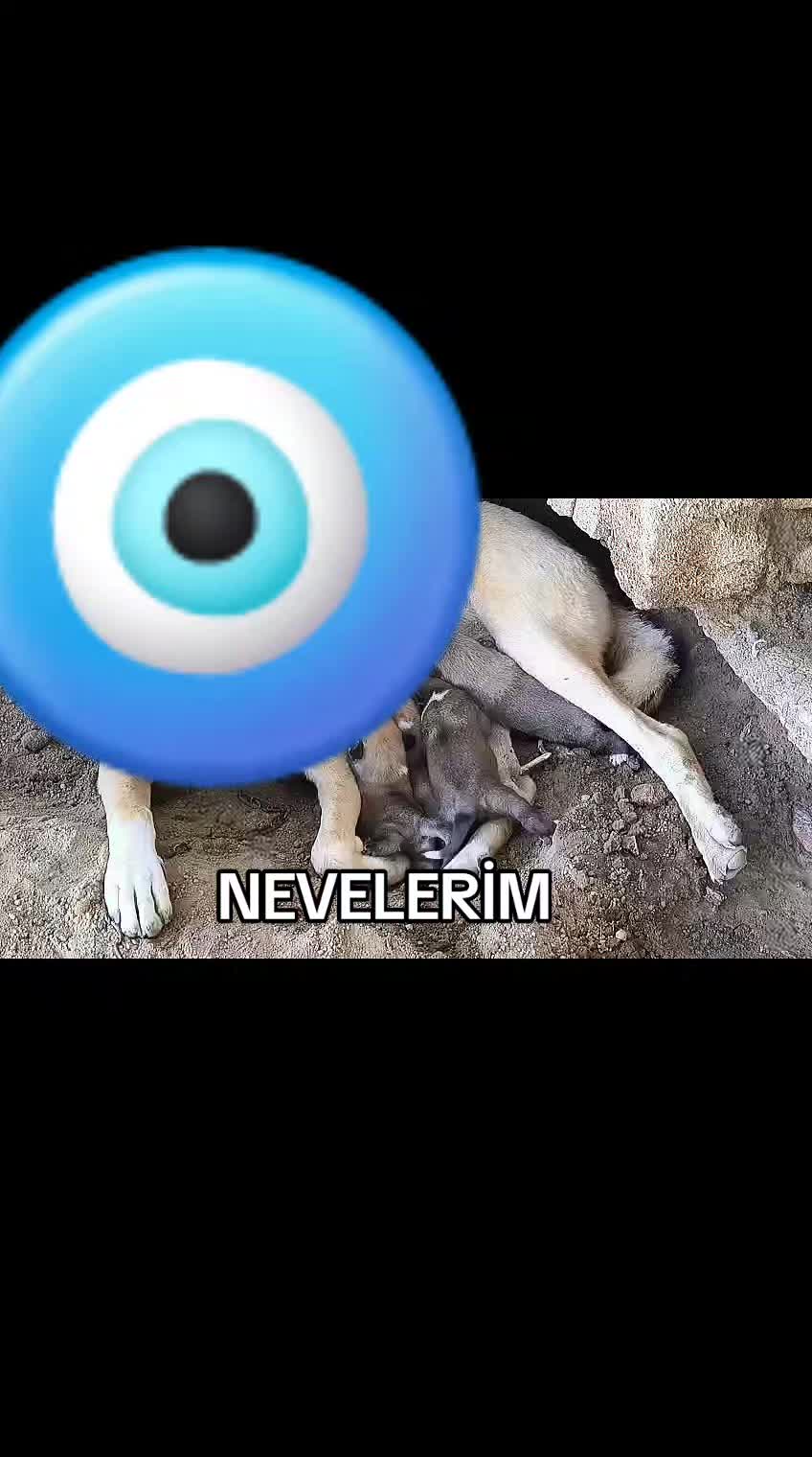 @Elşad__007
