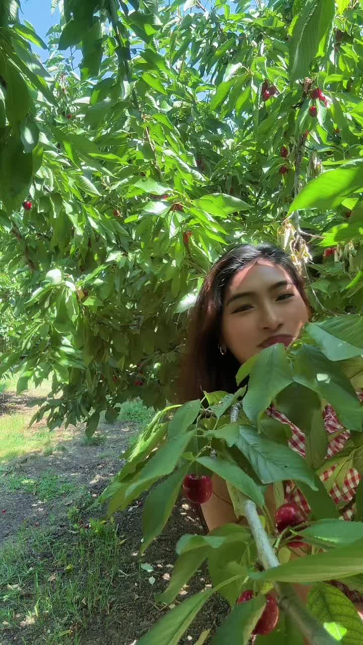 @Deepa Shrestha