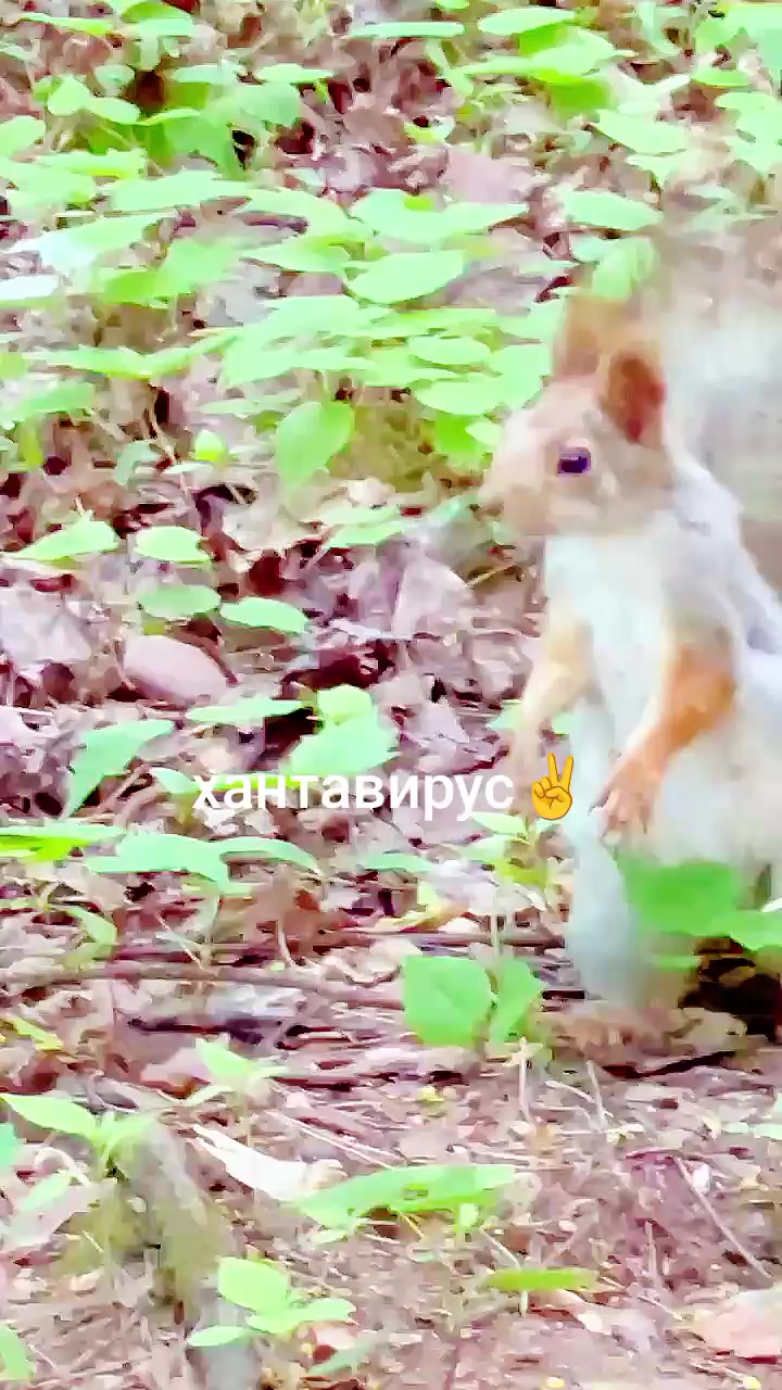 @ArtWorkout