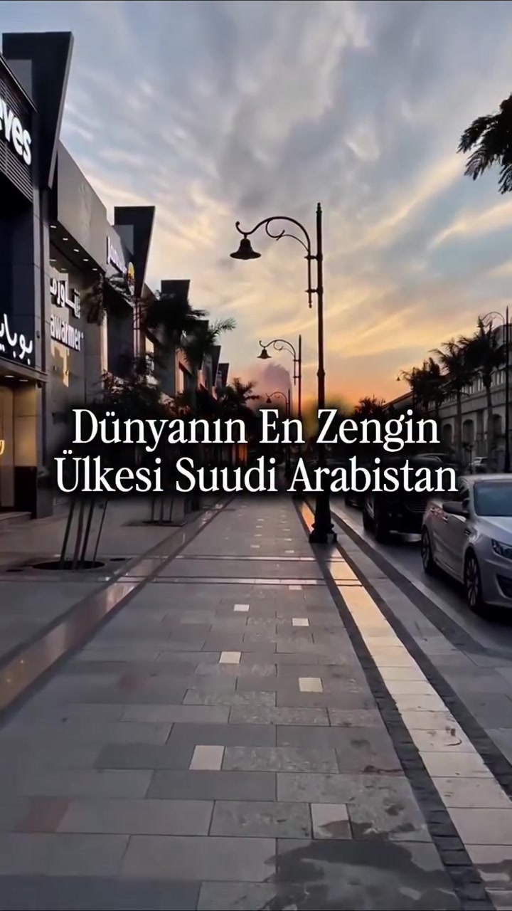 @avrupadayasamm