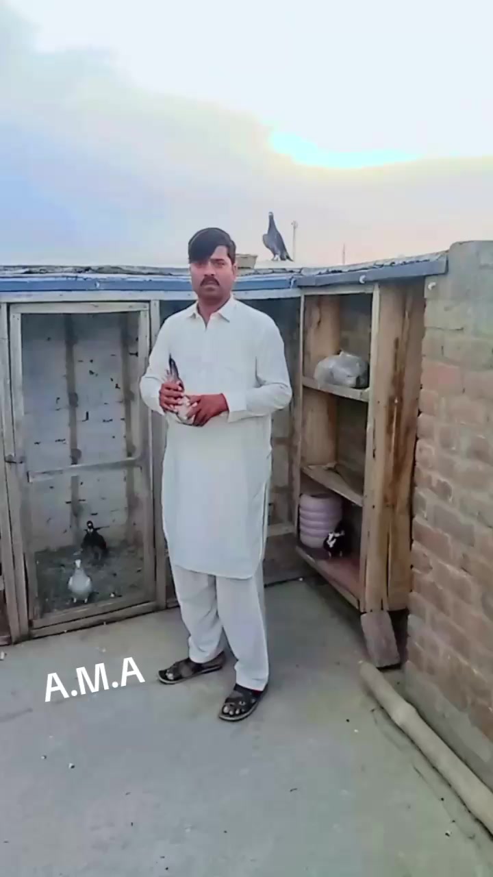 @Awais Ahmad