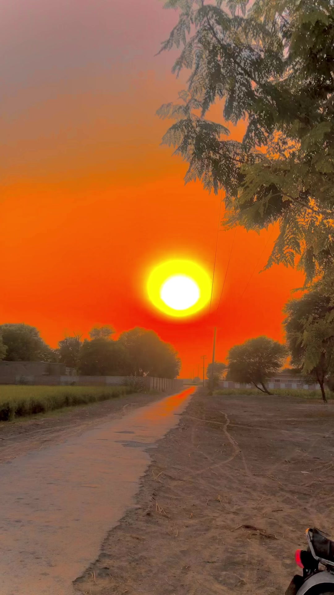 @❣️مسکان ❣️