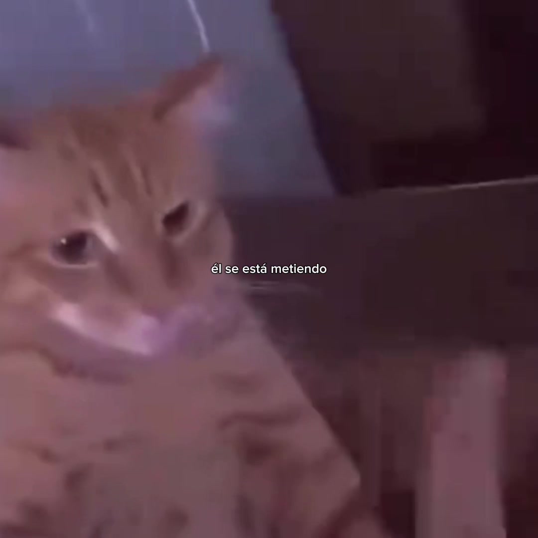 @𝒪𝓳𝓮𝓭𝓪𝓻𝓲𝓸