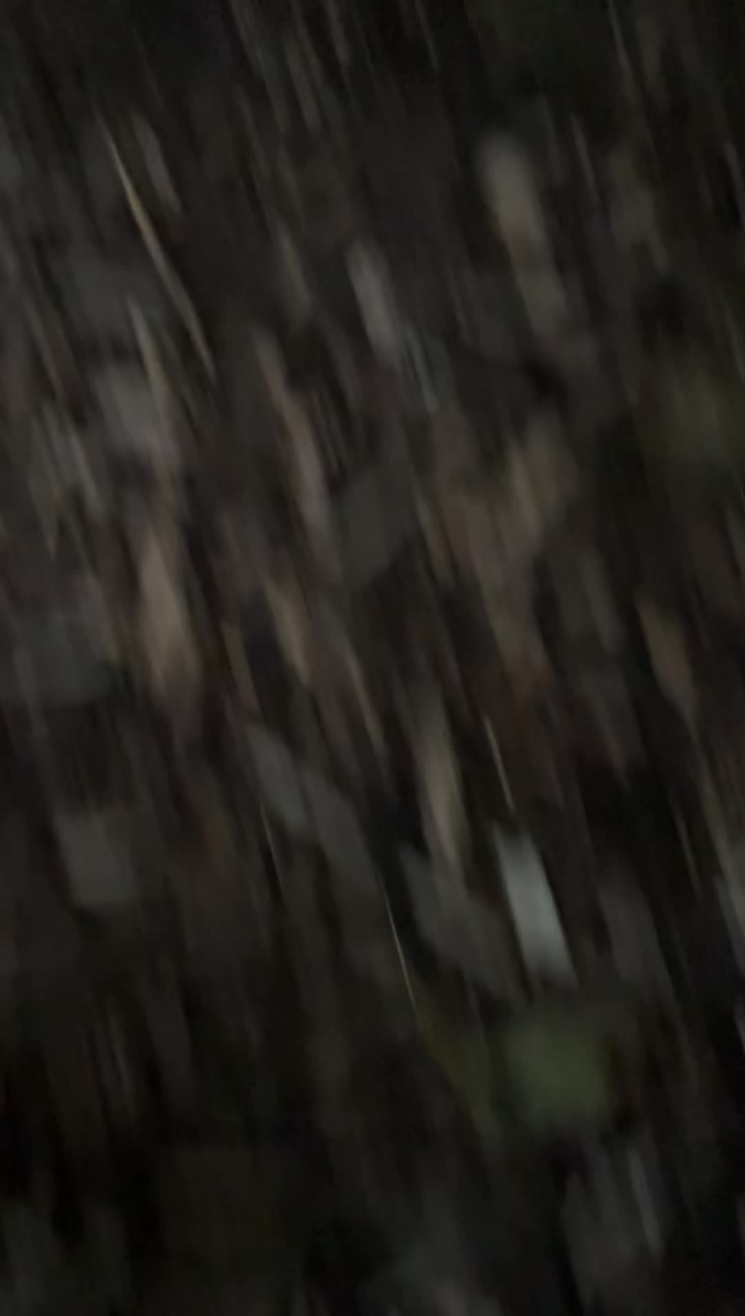 @betance_777