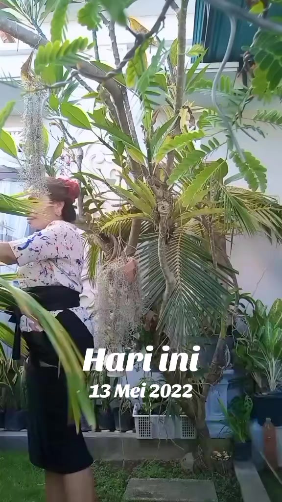@Mank Tri