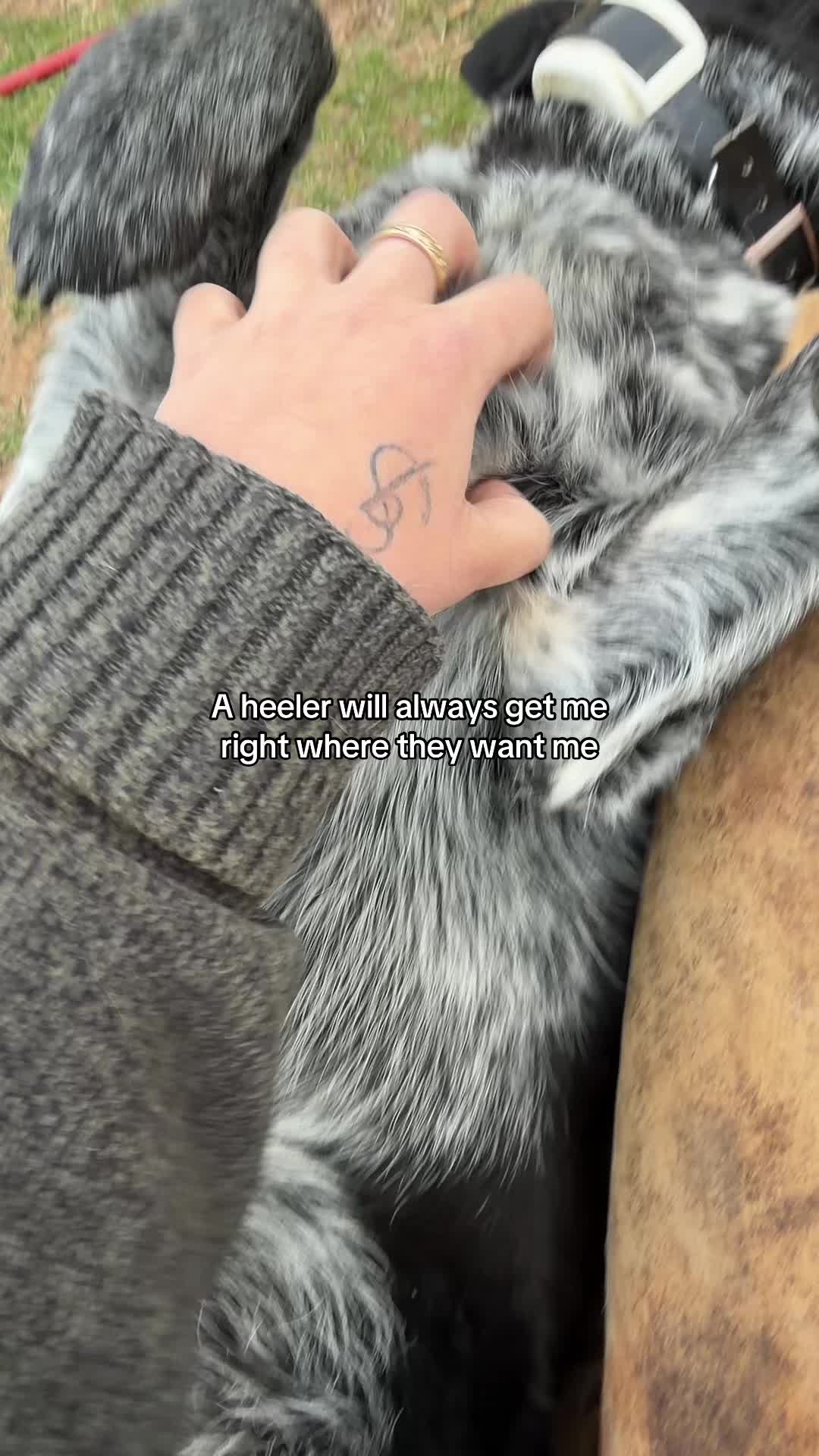 @ryleenbeans