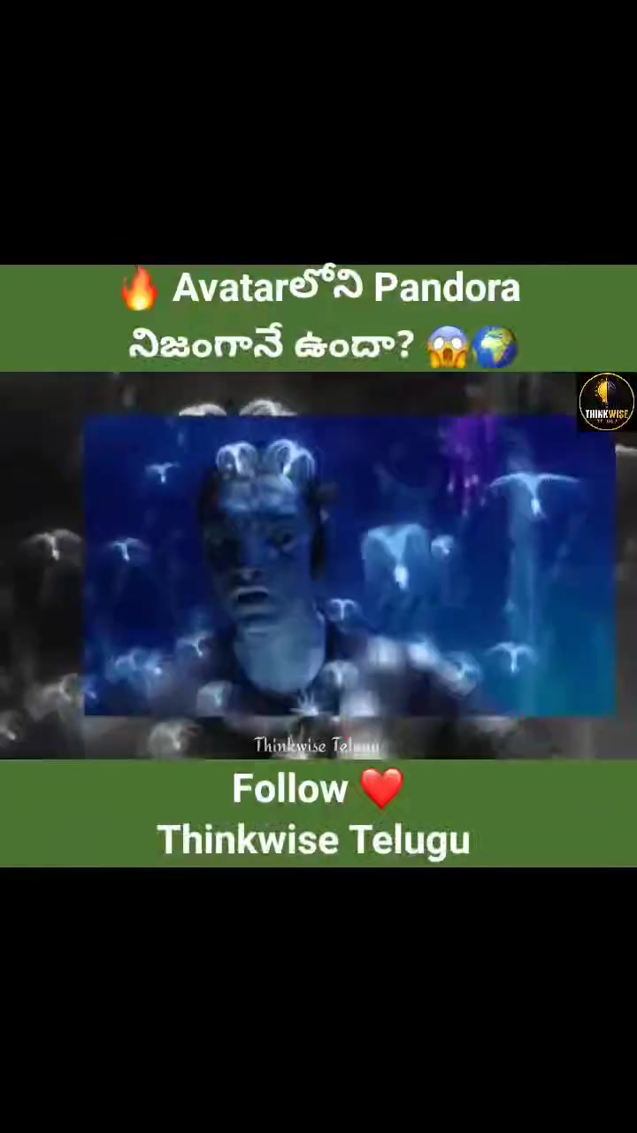 @జి శ్రీనివాసరావు పాలకొల్లు