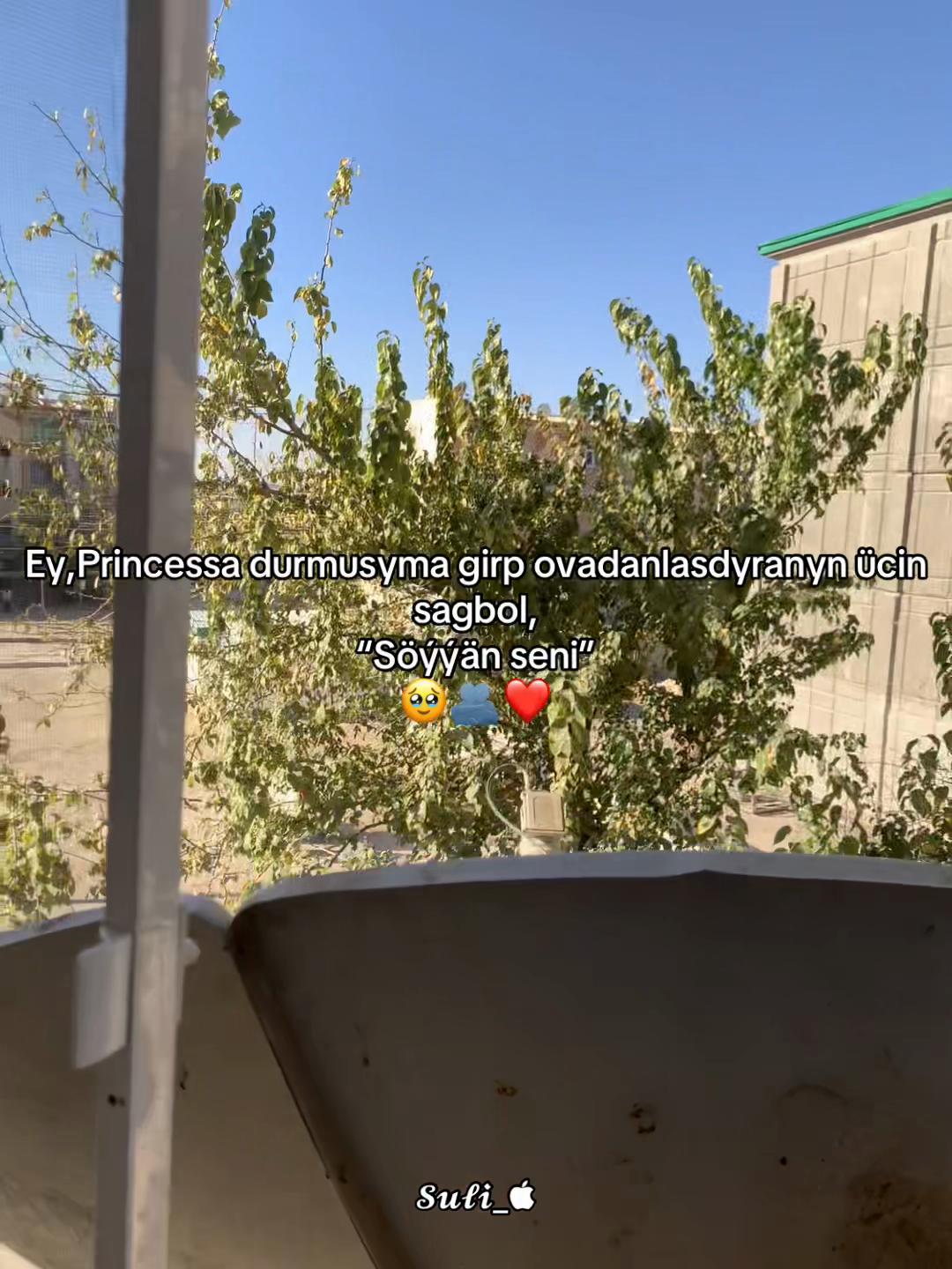 @𝓢𝓾𝓵𝓲_