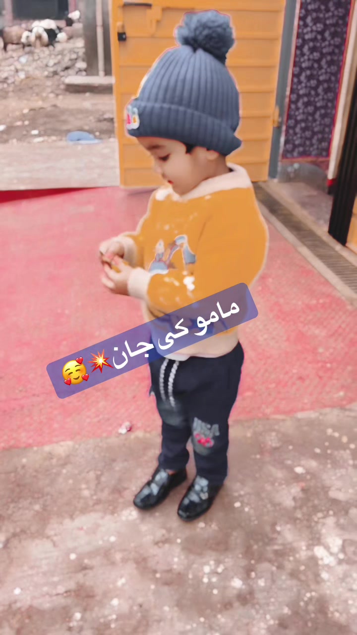 @راجپوت 24 آلا 💥