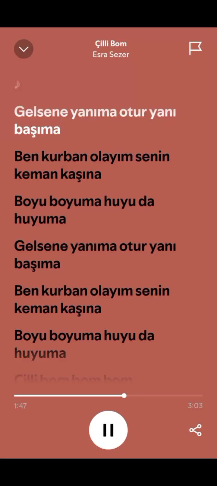 @pro müzik