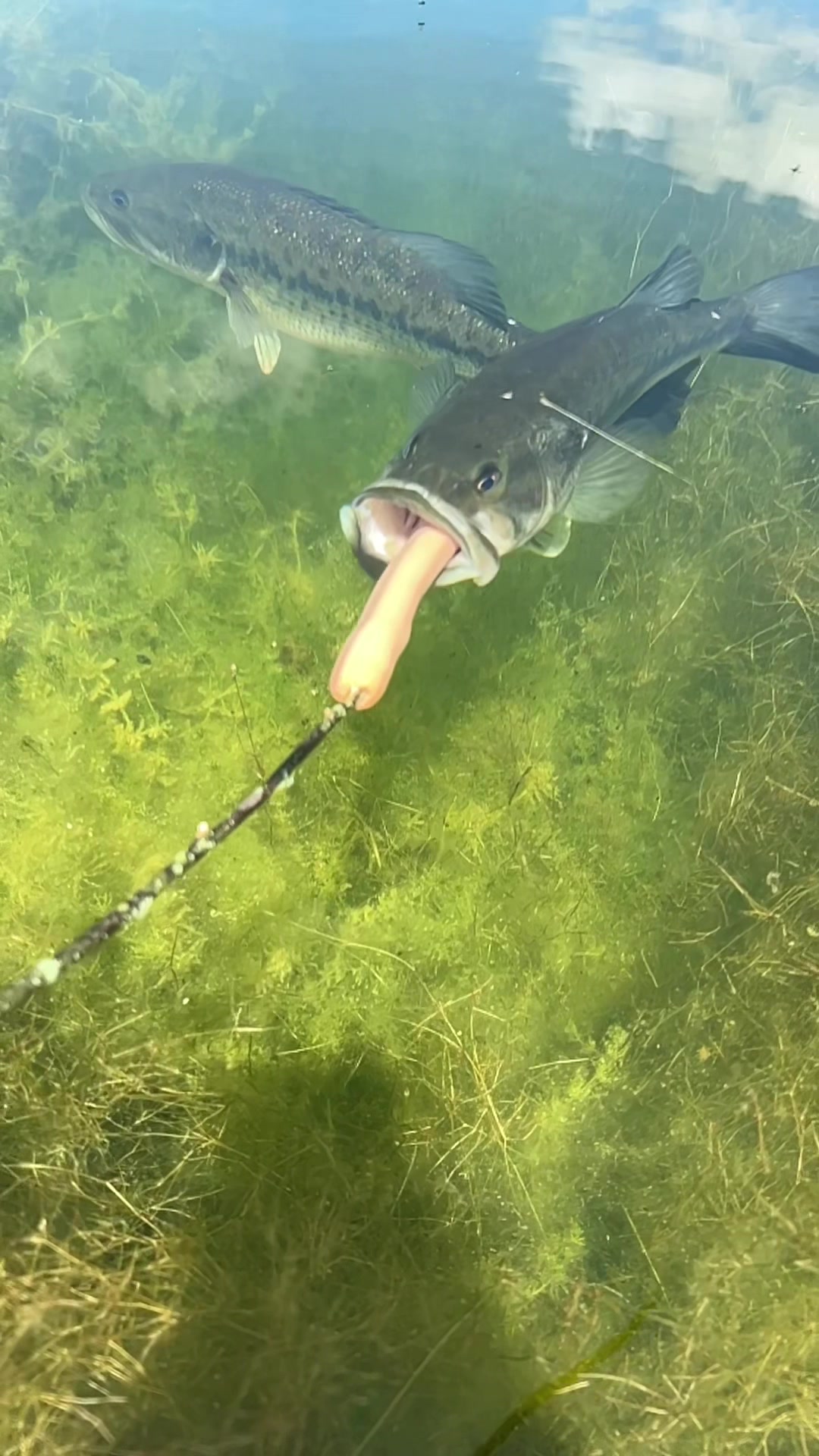 @Anglers3dOutpost
