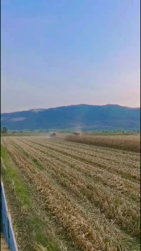 @Kayhan KERLİOGLU 80