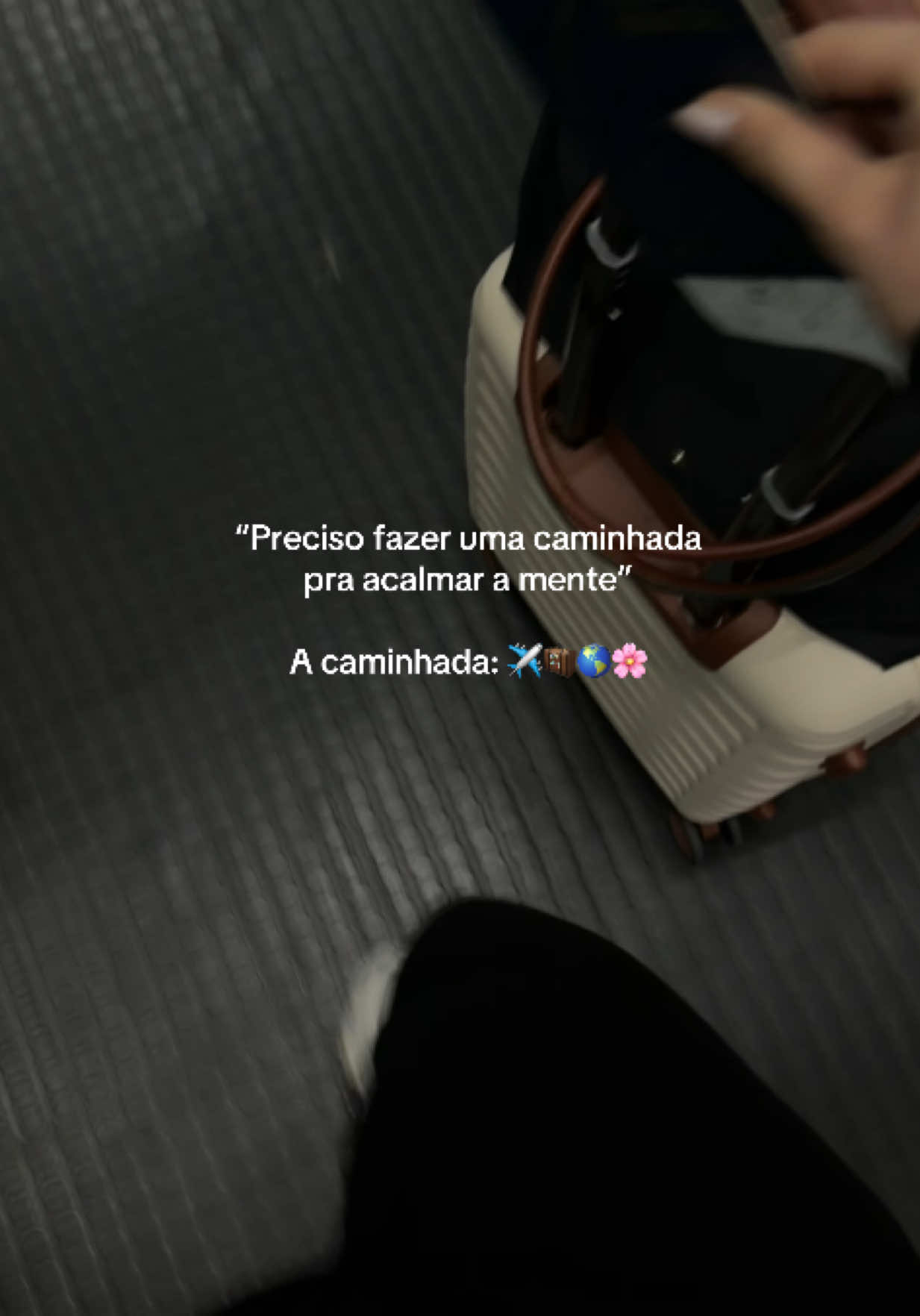 @bianca.dlopes