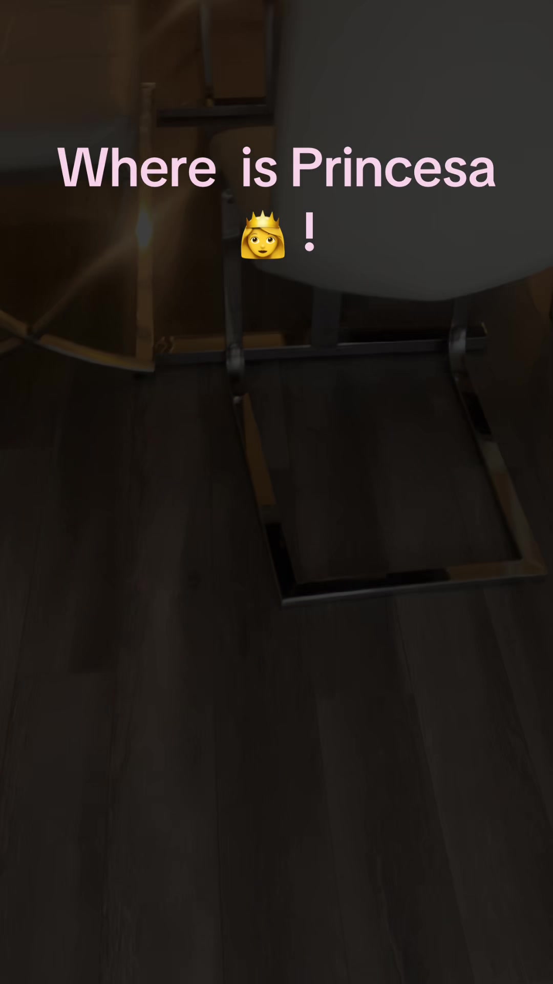 @user214163267829