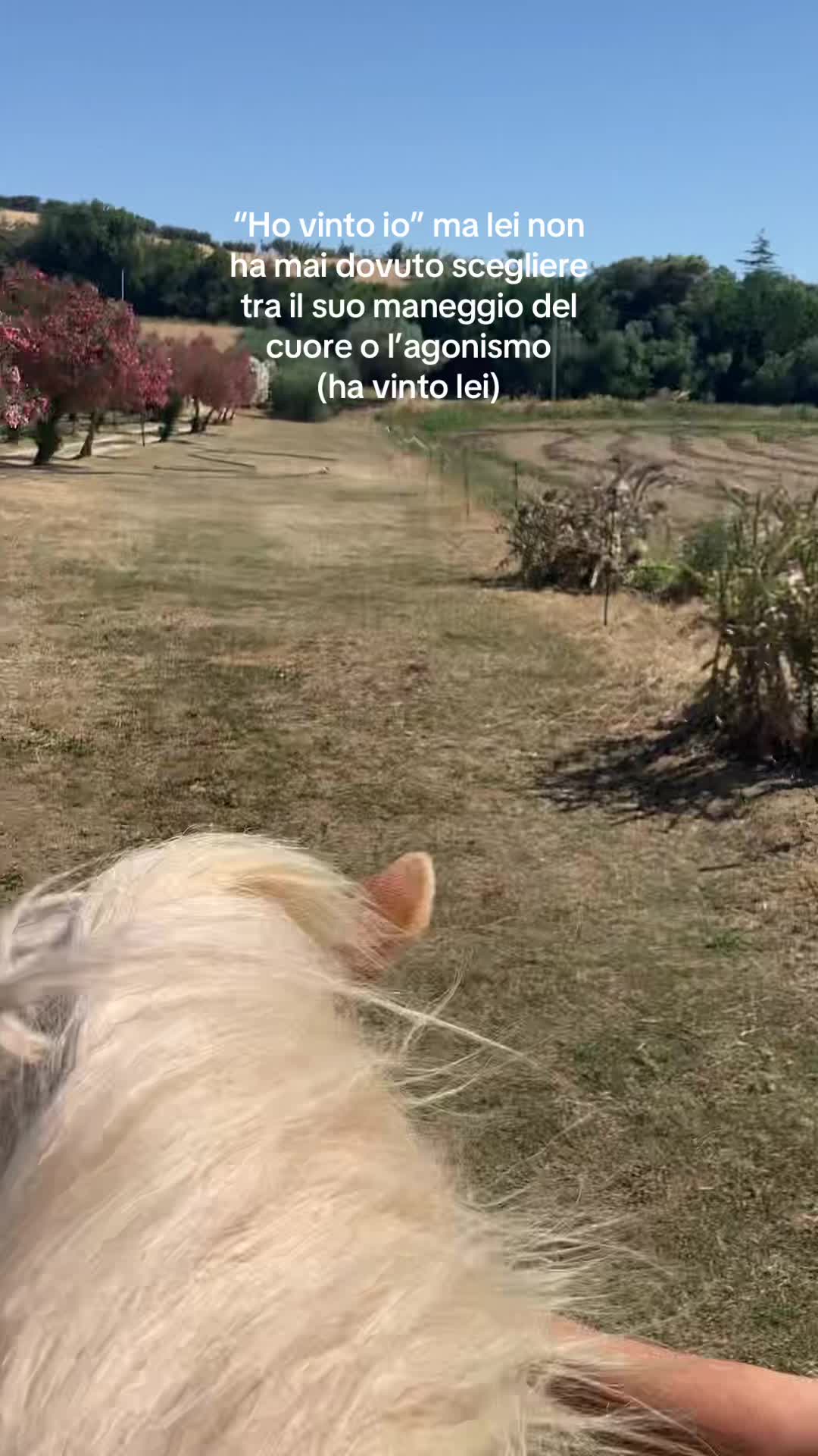 @Bea_28🪬