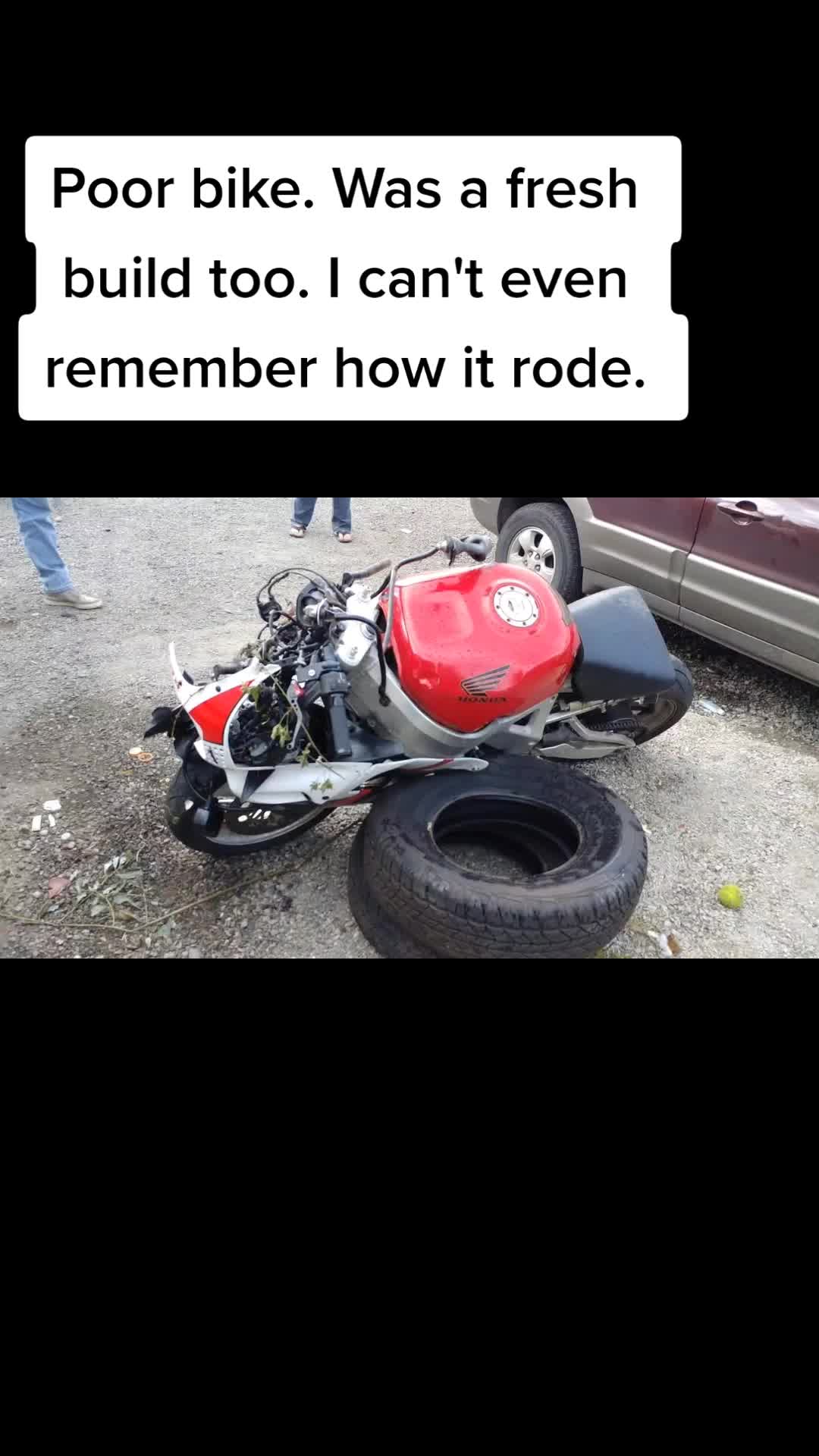 @Redbay
