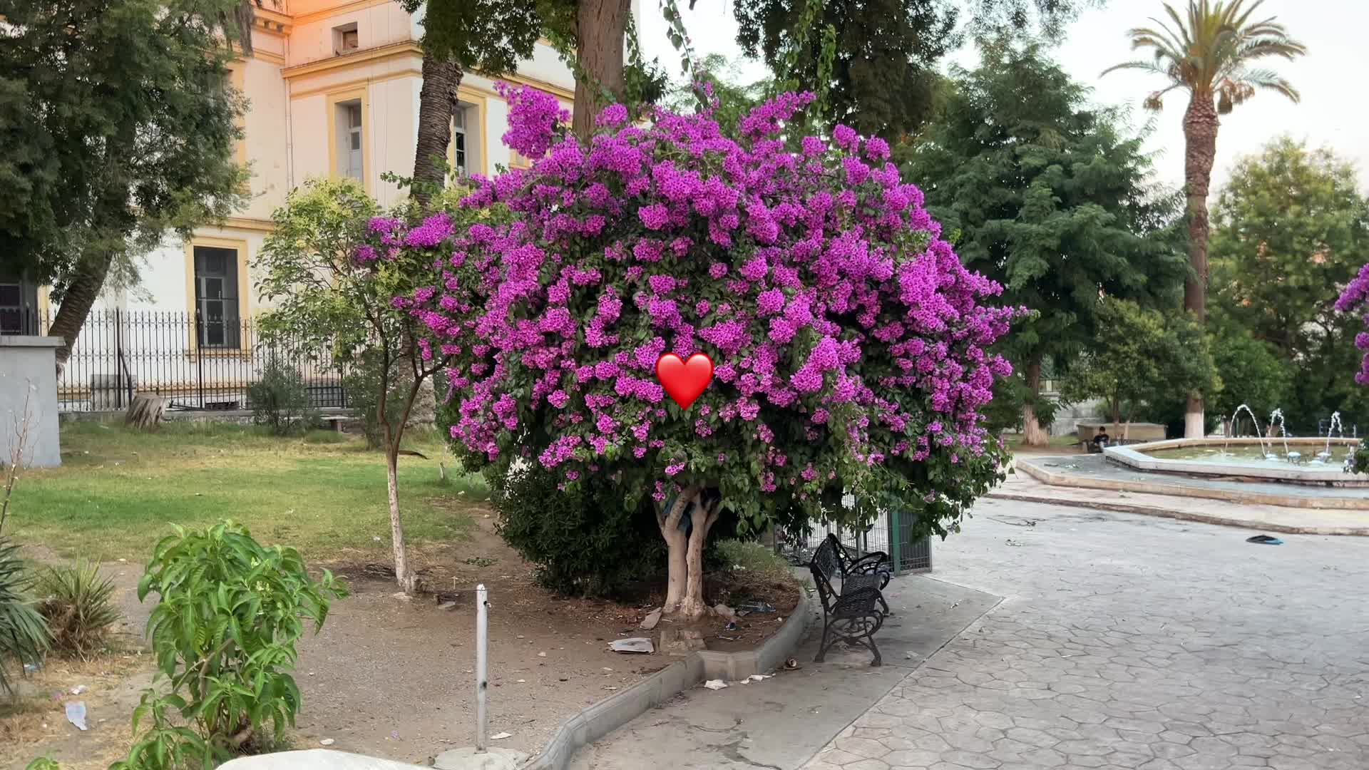 @ghoooll___00075
