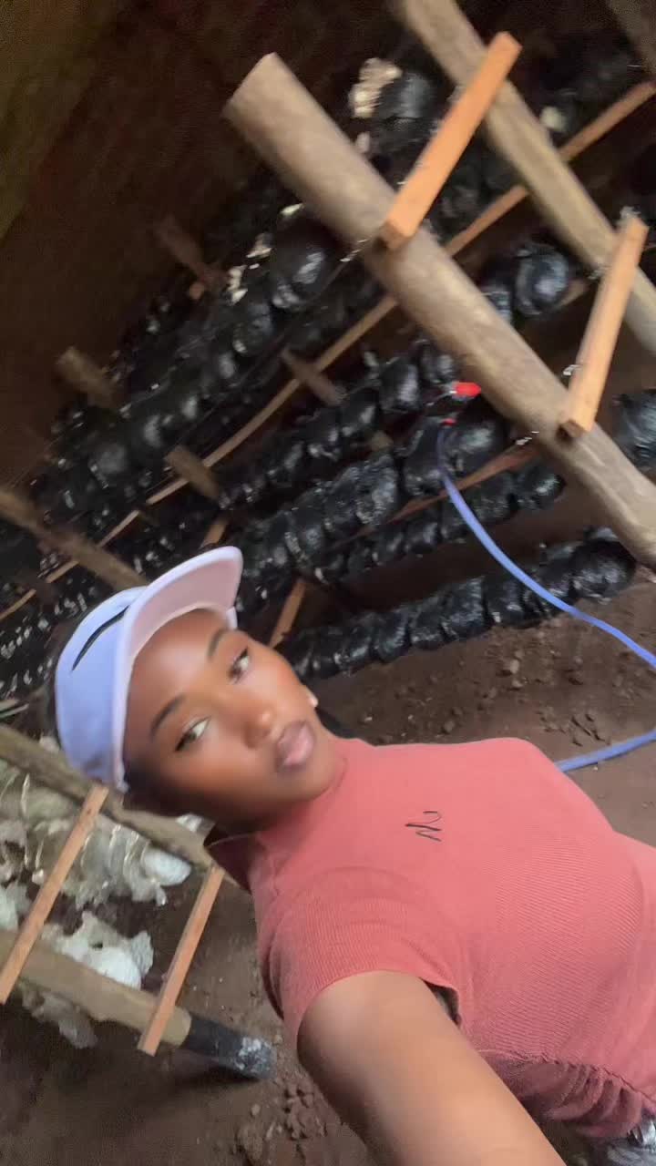 @Enjuba mushrooms