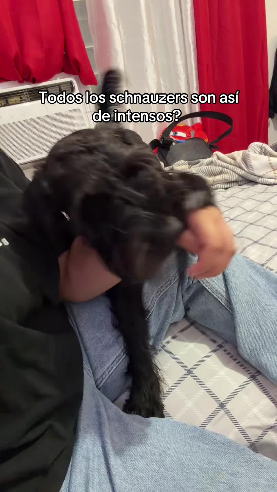 @La Dani