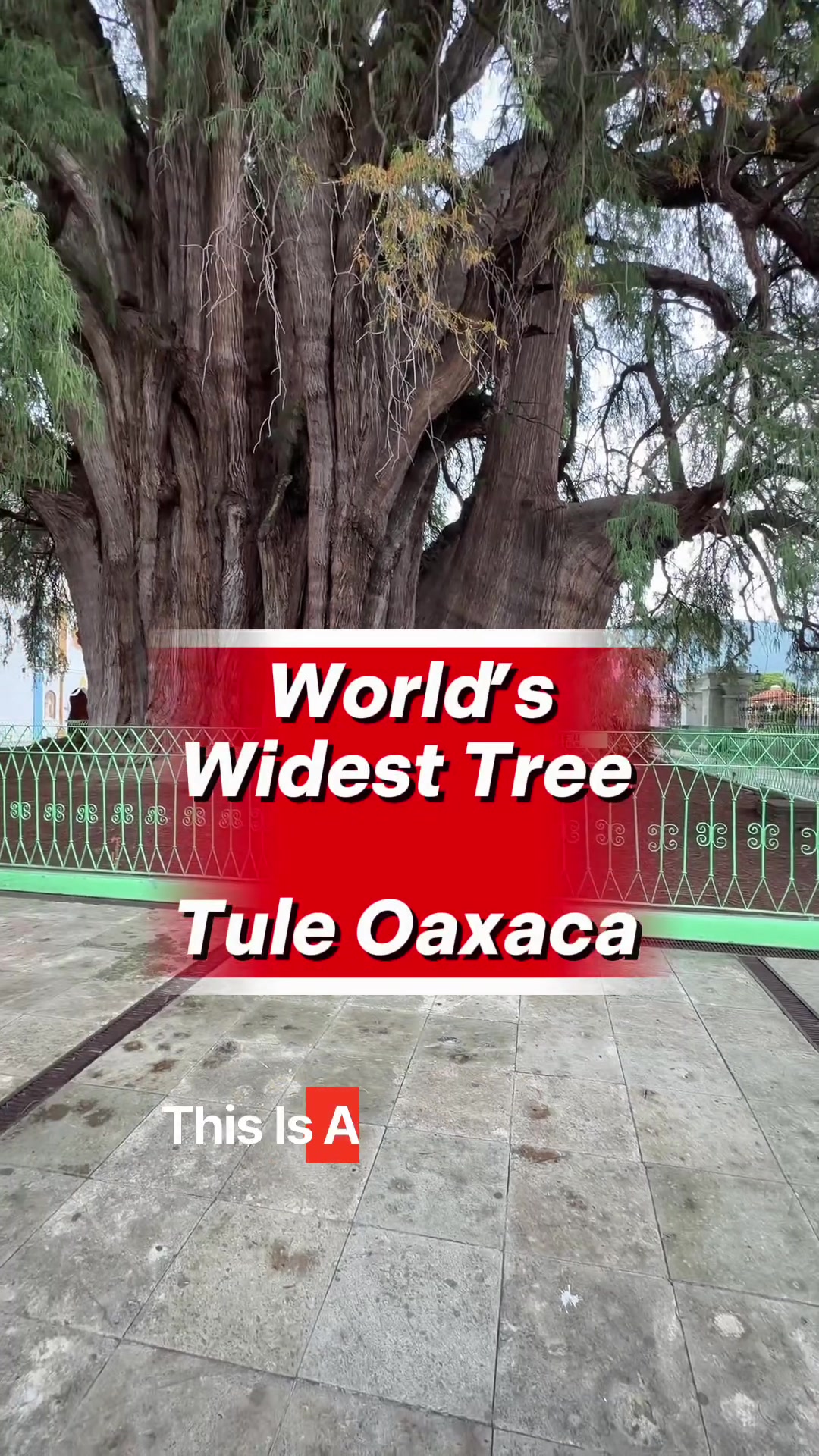 @Ben&rsquo;s Big Deal