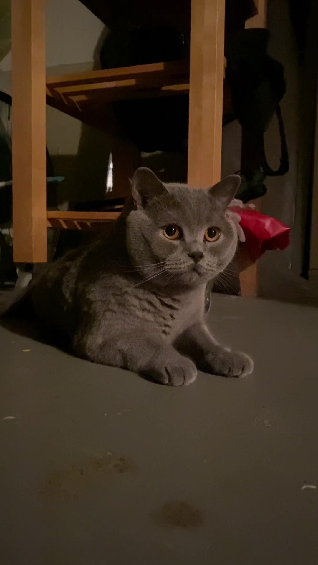 @😸