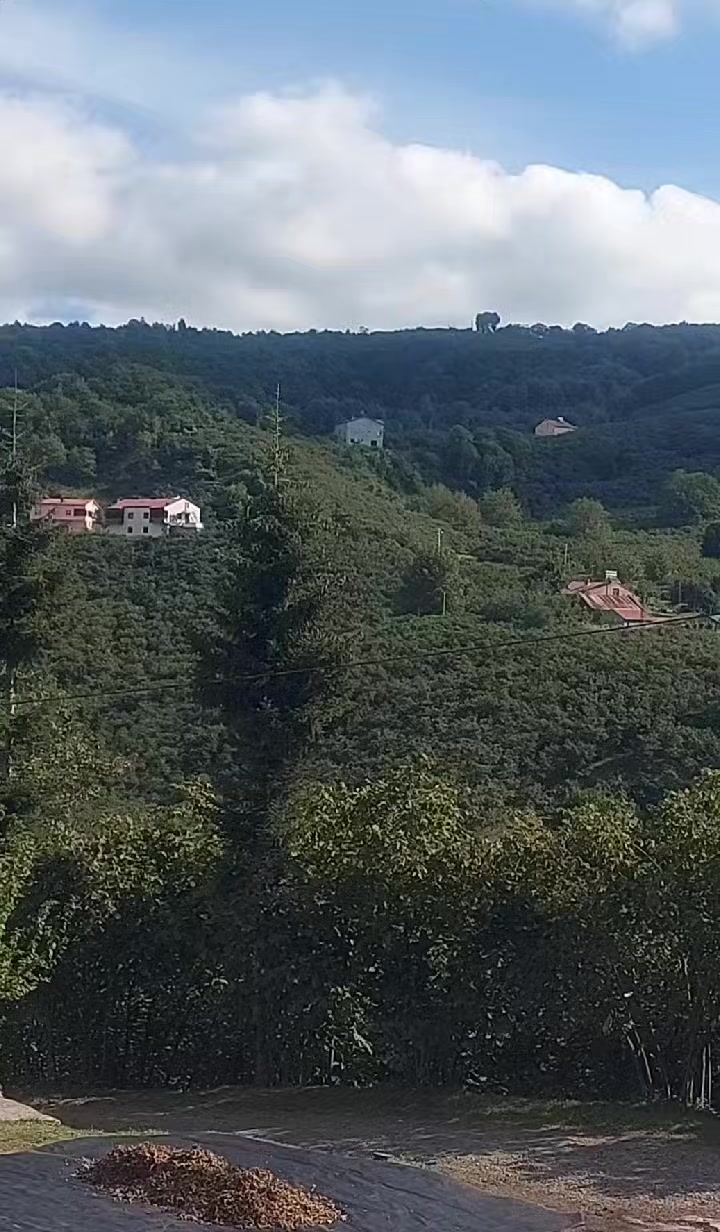 @DENİZ KIZI