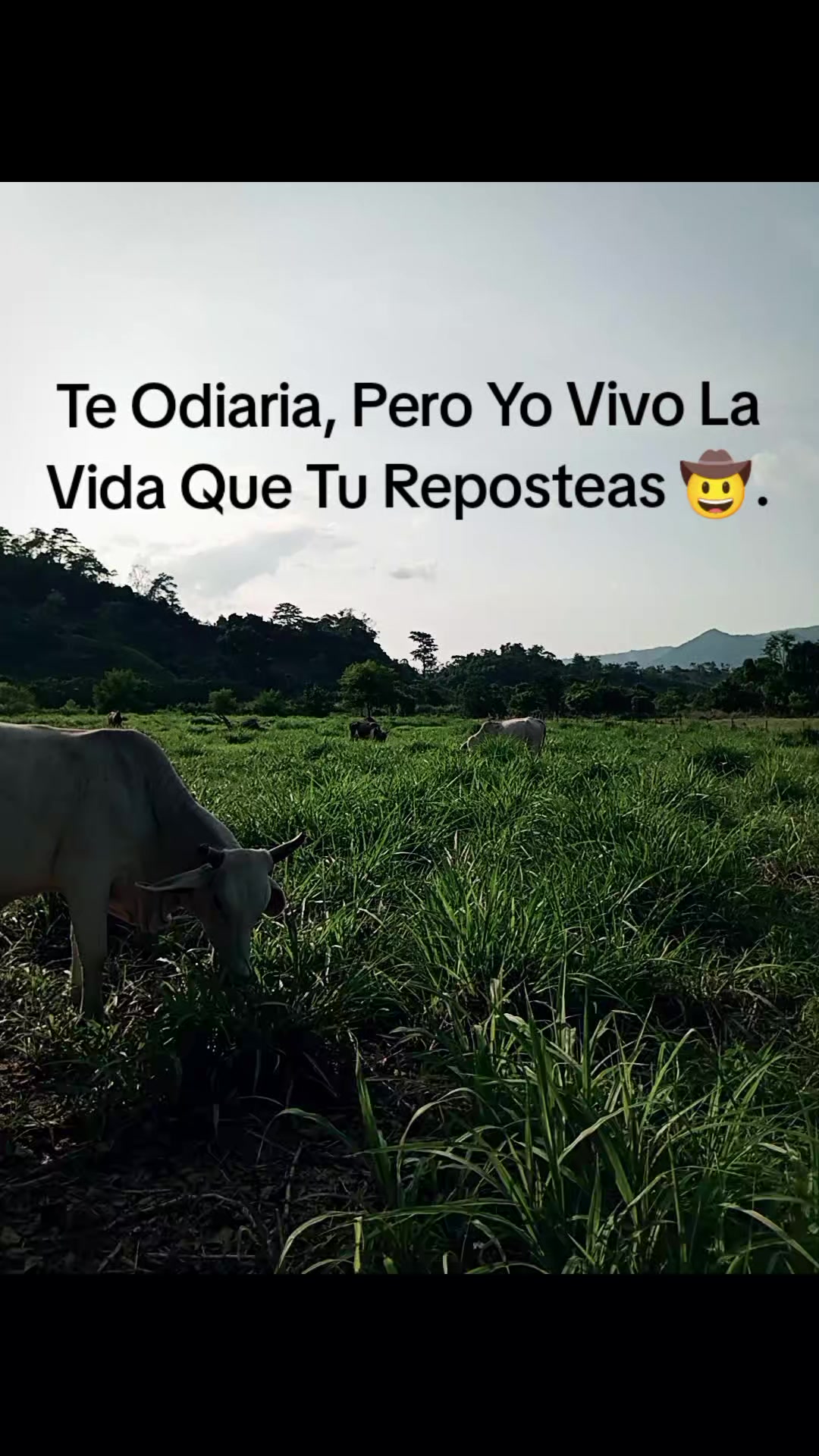 @𝓨.
