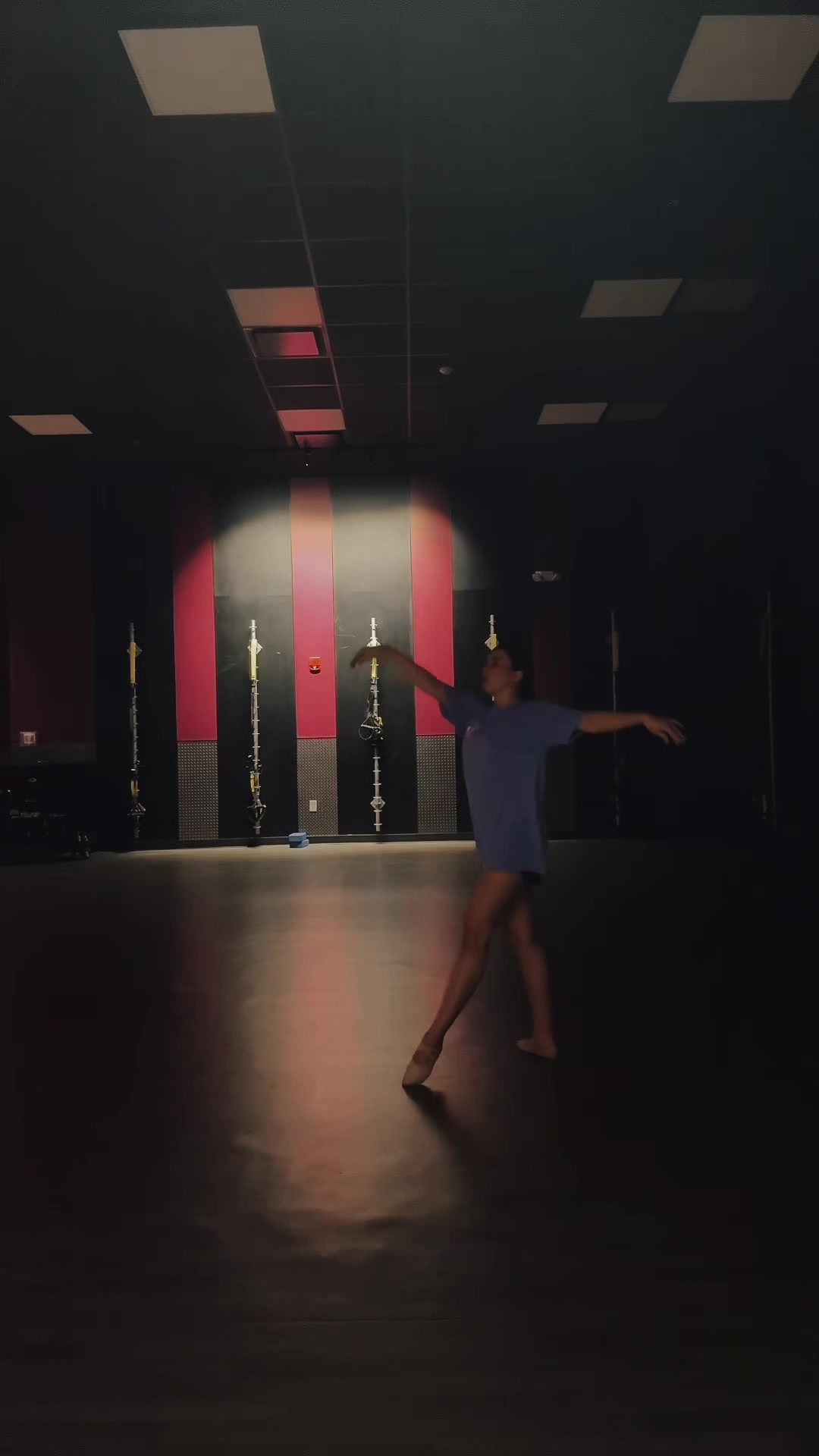 @maya