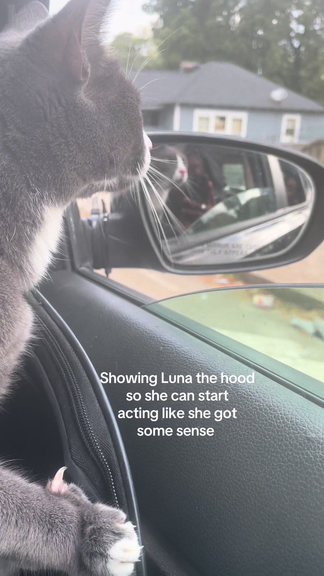 @LunaPuhtuna
