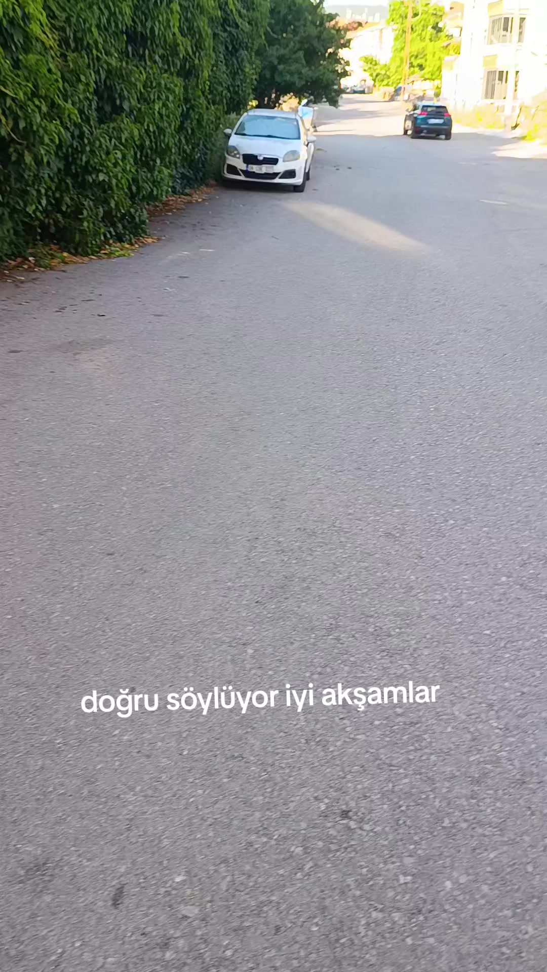 @zalimin kızı 06
