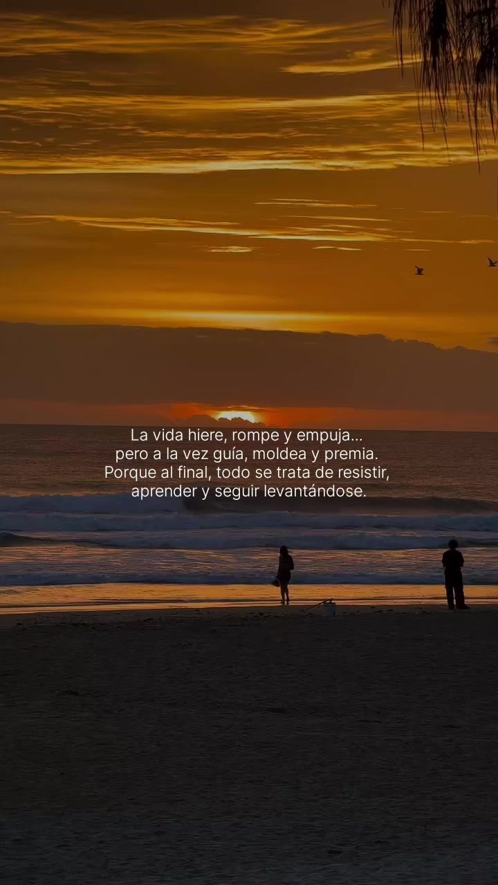 @𝙰𝙻𝙴𝚇𝙰𝙽𝙳𝙴𝚁✍️