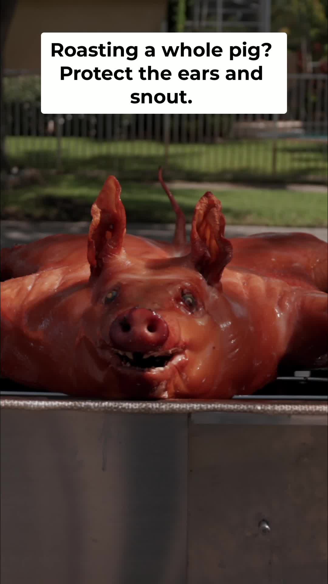 @The PitMasters Council