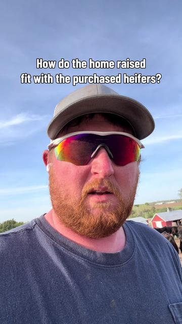 @AJ Friedges
