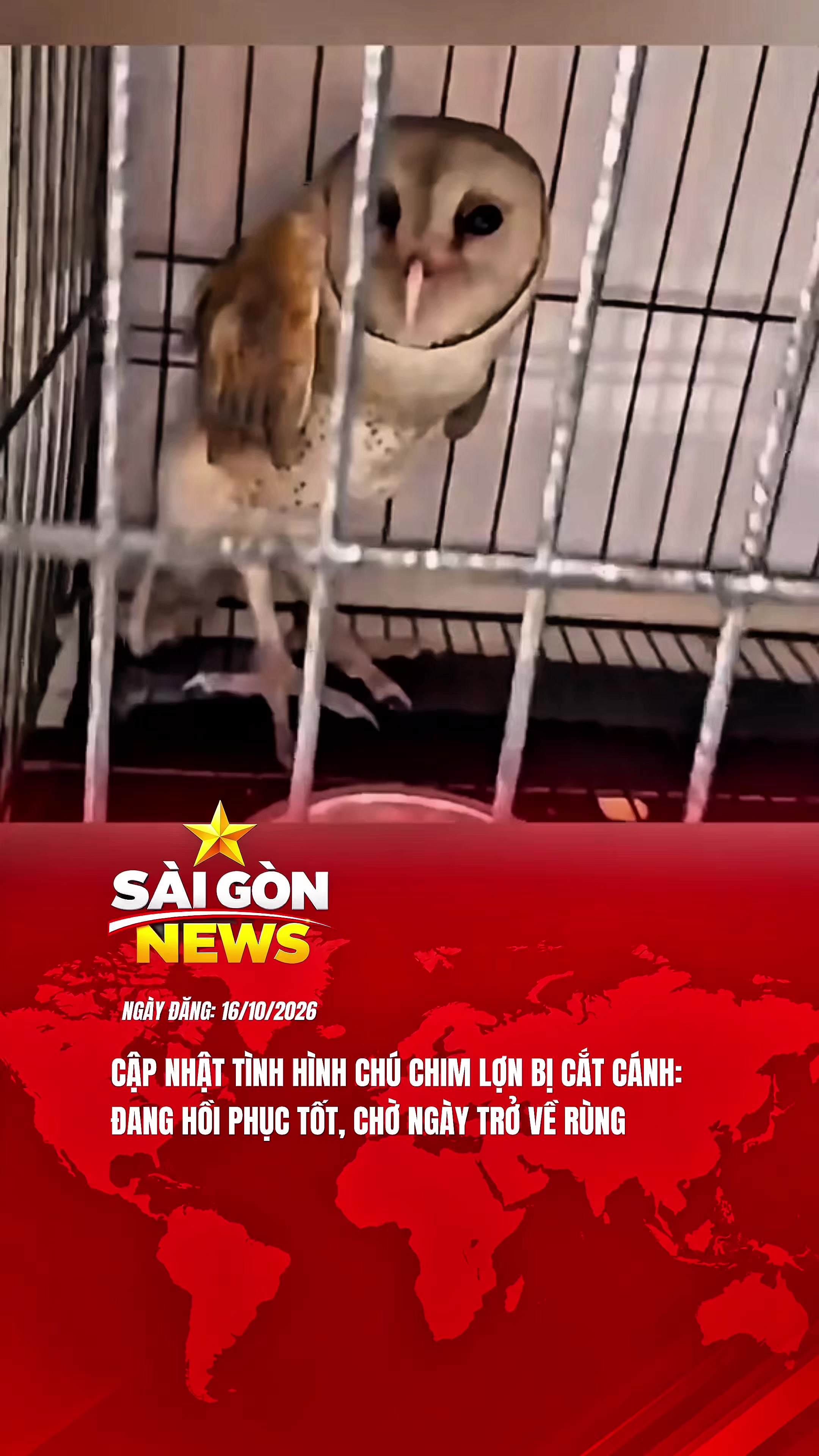 @Sài Gòn News