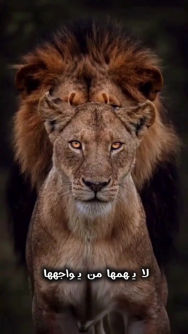 @❥⋆⃝آلَغُآ𓅇ᬽـ꙰𝑀ضةّヅ