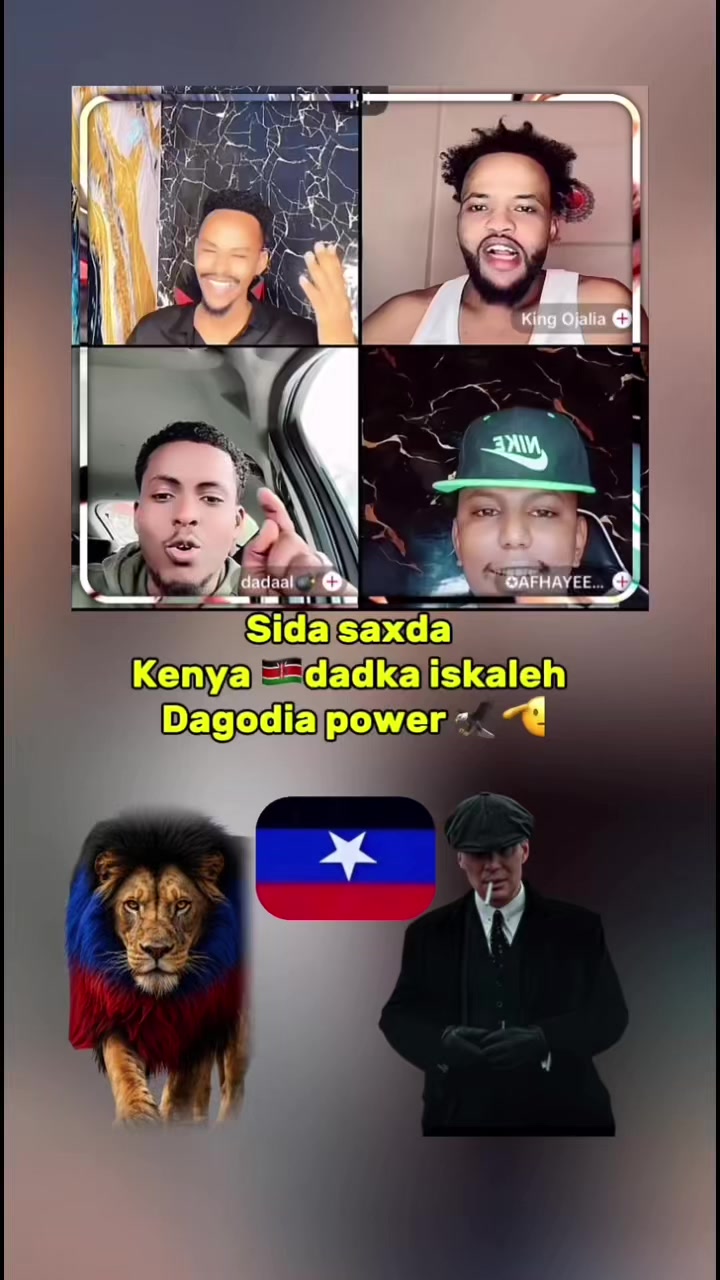 @TV_DAGODIA🇭🇹🦁🫡🦅🚨