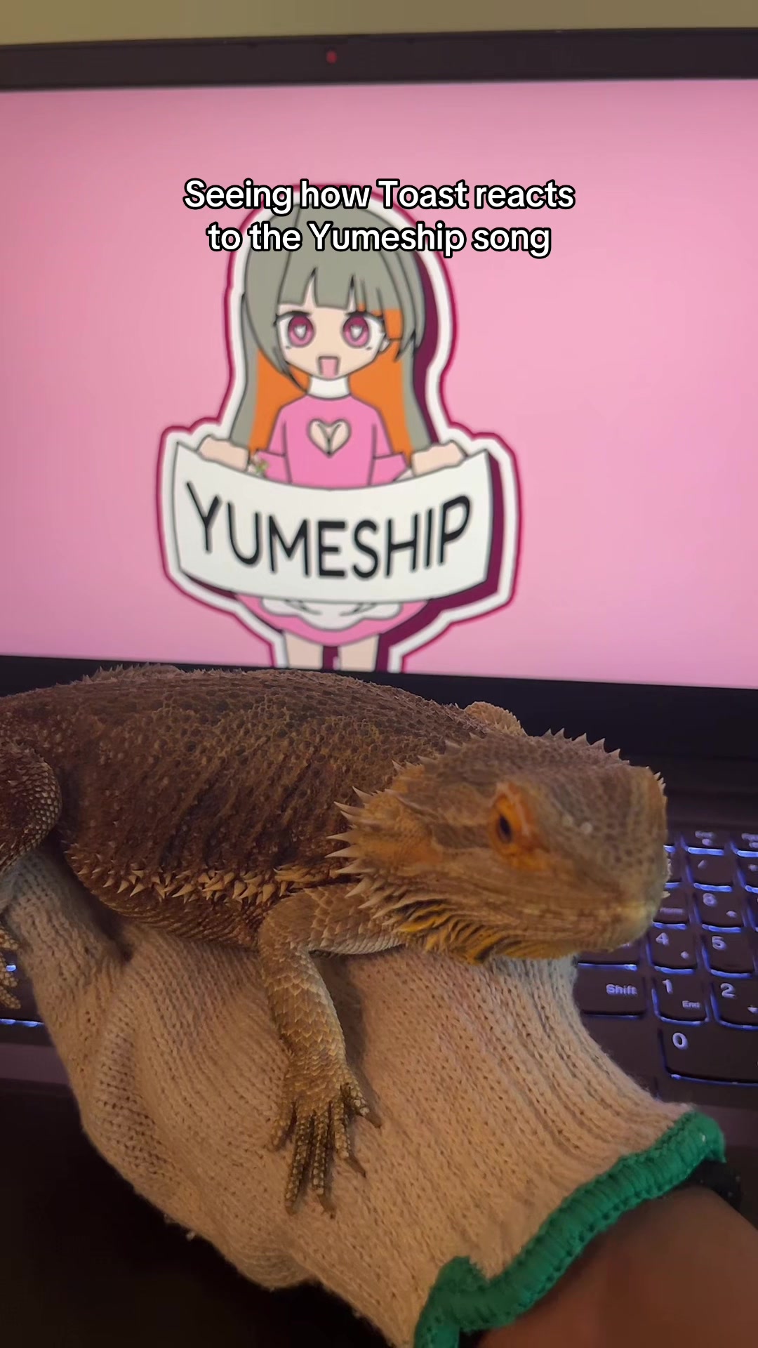 @Vanadium²³