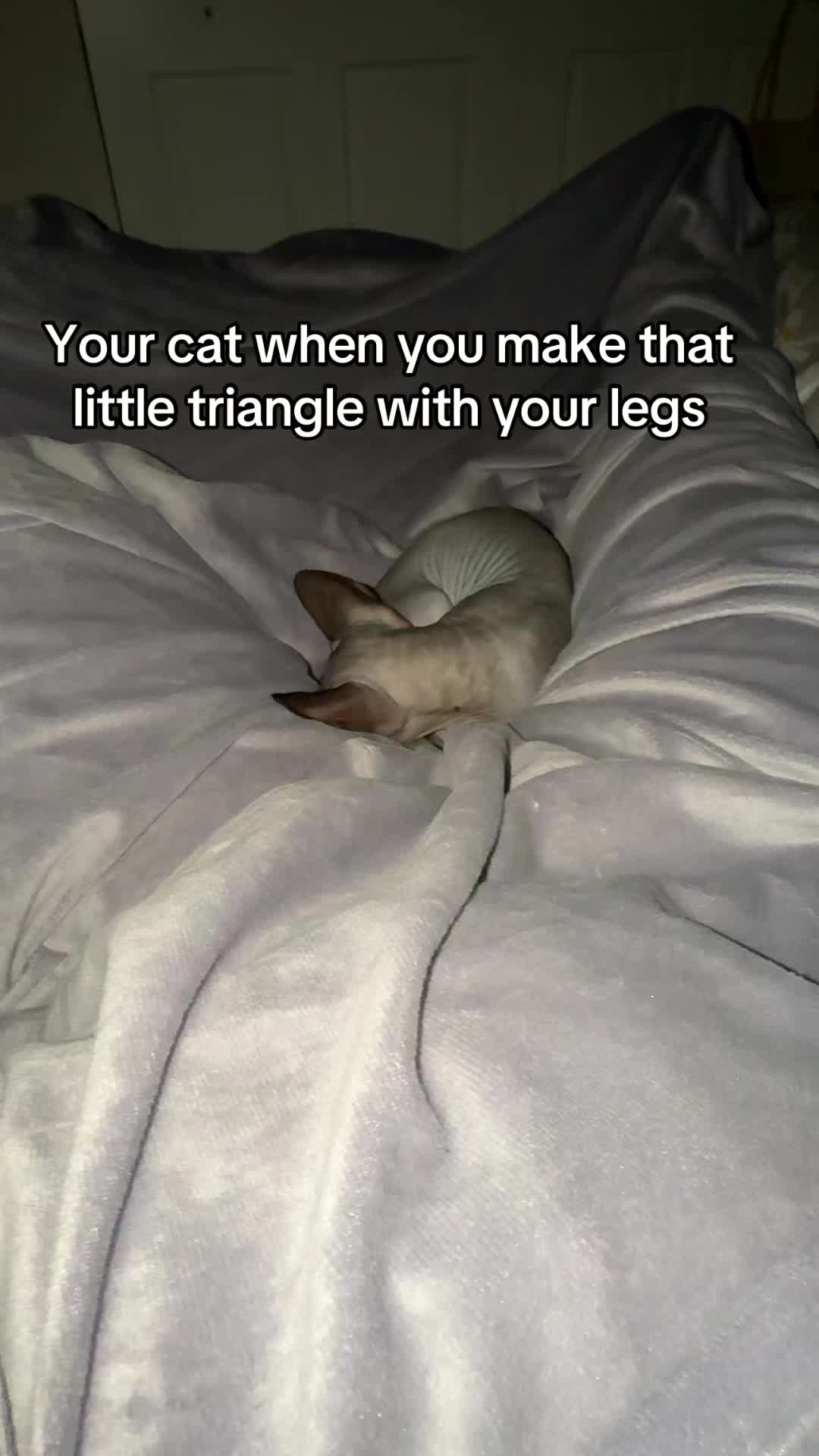 @Samantha Lee